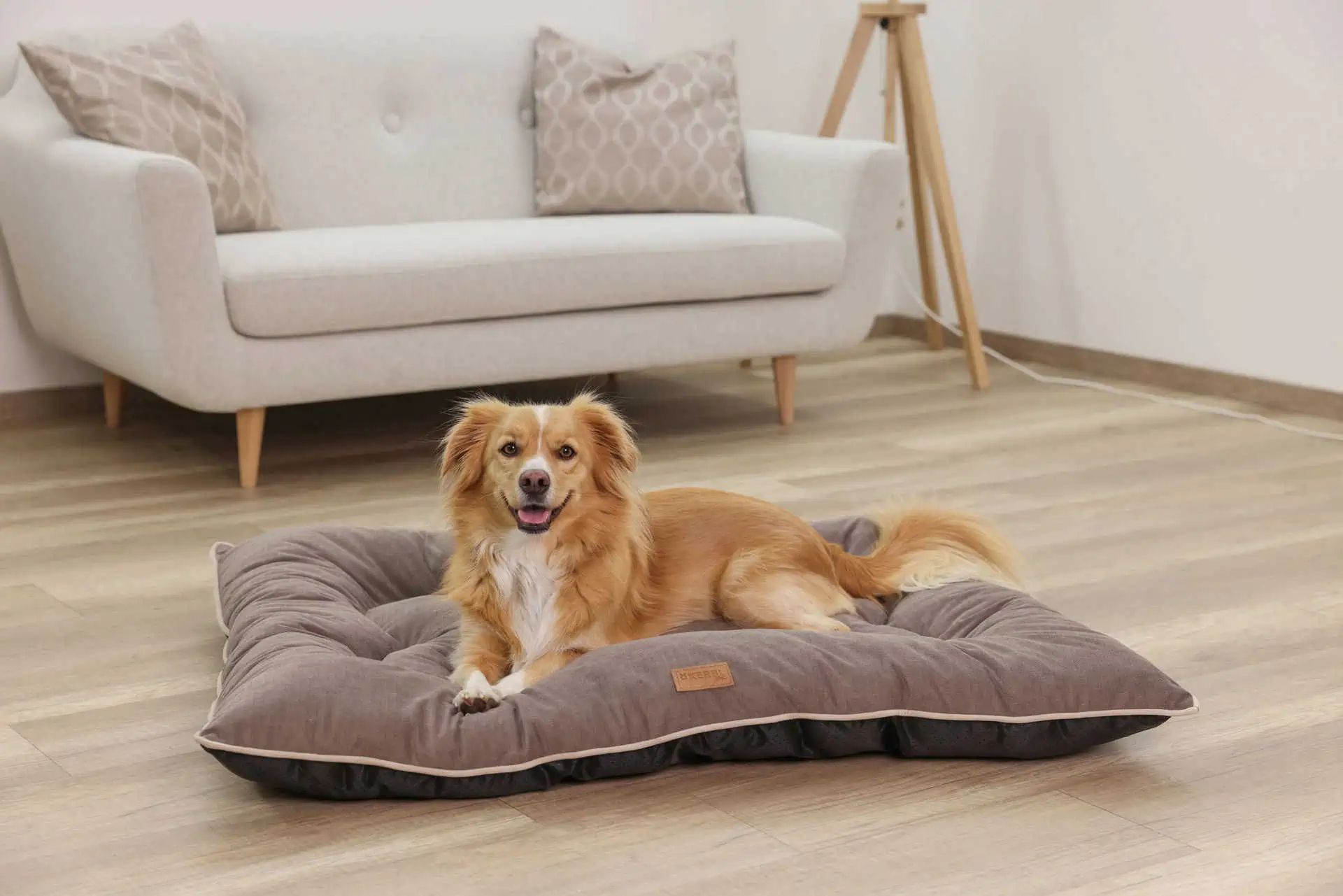 Kerbl Pet Cuscino per cani Benno in Chenille, extra caldo, in uso, in casa