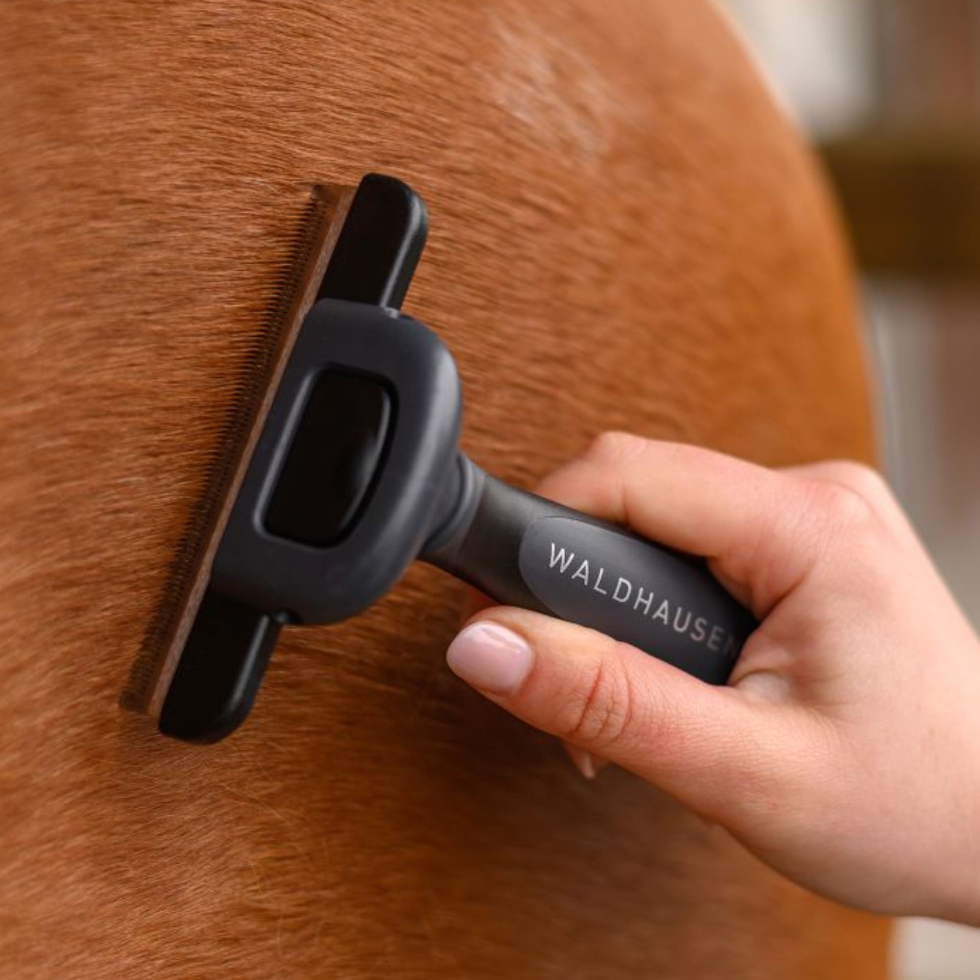 Waldhausen Peigne de Mue pour Chevaux, Démêlant & Éclaircissant, peigne de mue avec poignée plastique L