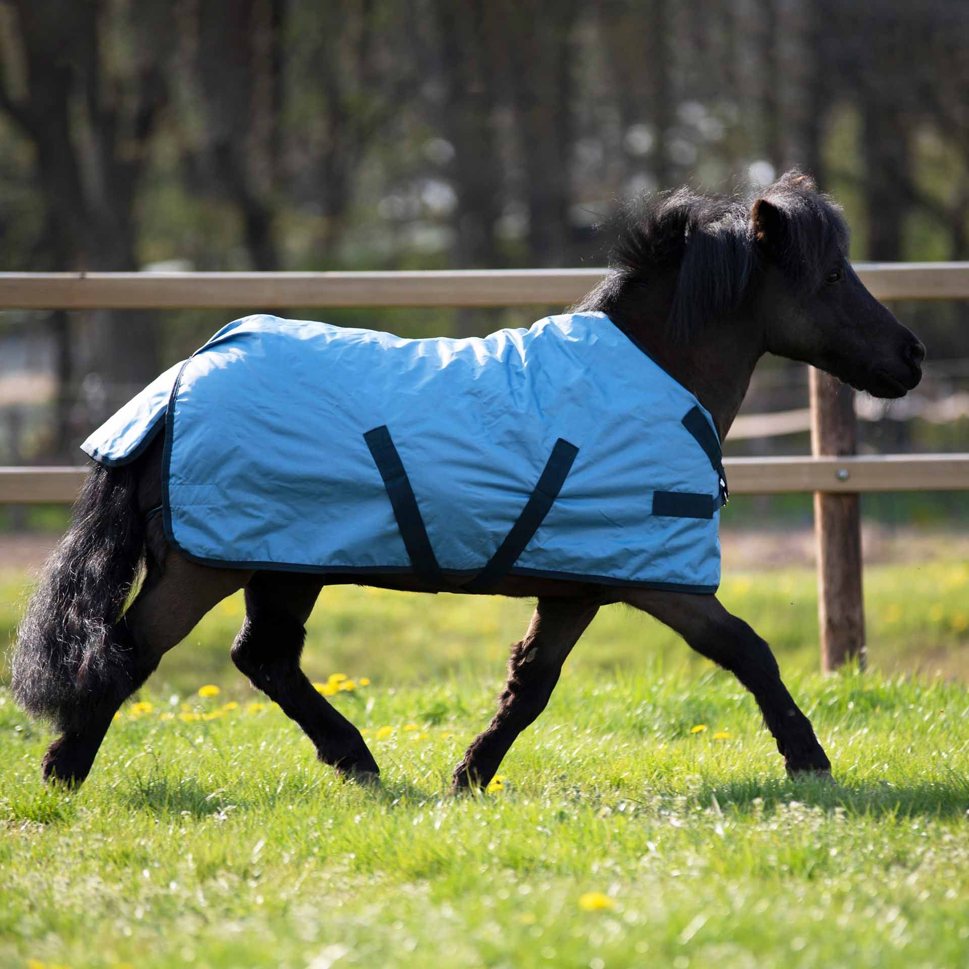 BUSSE WINDCHILLY MINI kültéri takaró, esővédő pónikra, használat közben, a legelőn