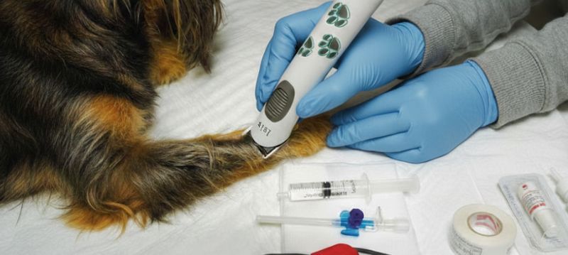 Aesculap Veterinary