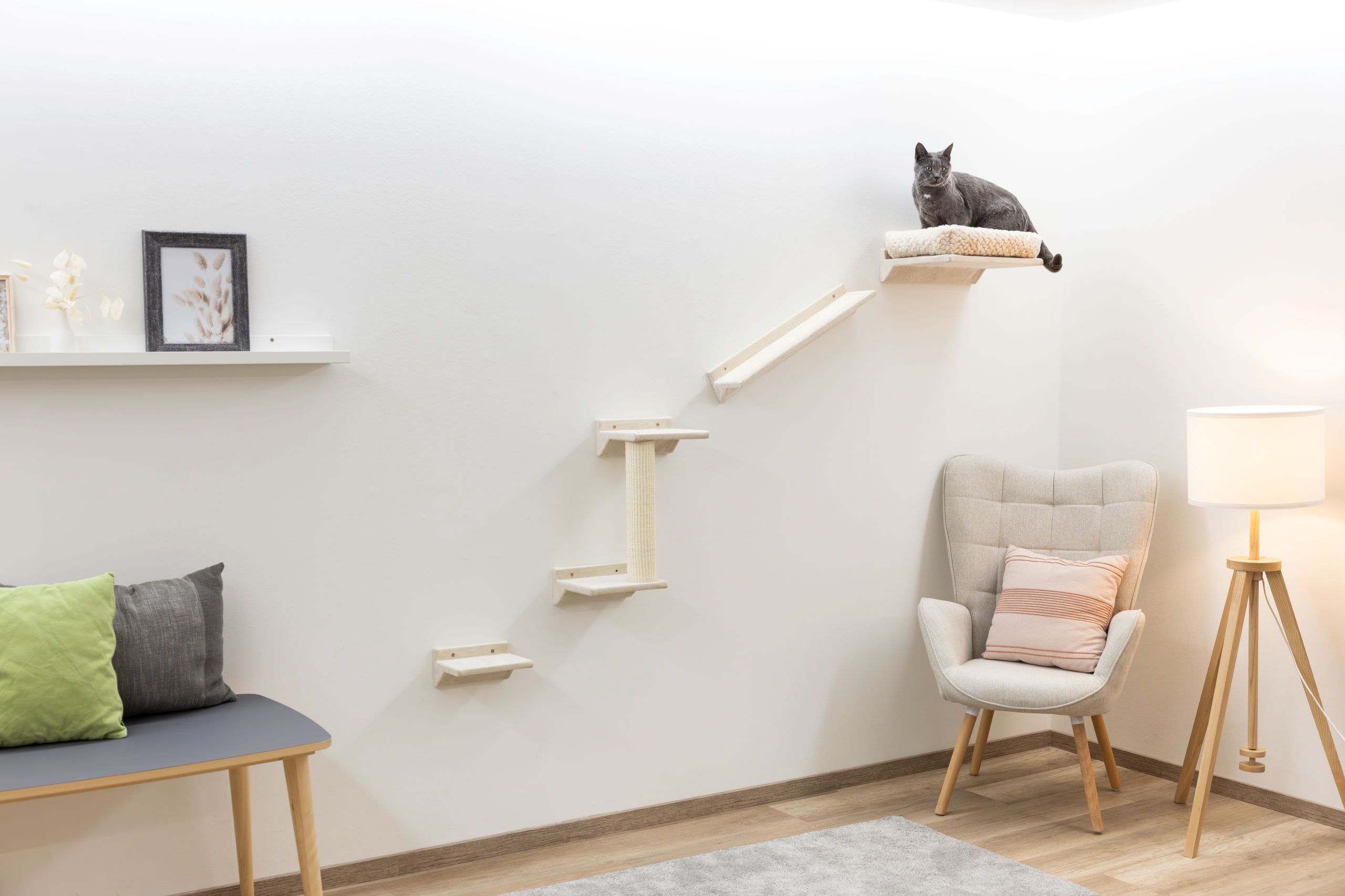 Kerbl Katzen-Kletterwand Monte Prado 6-teilig, beige