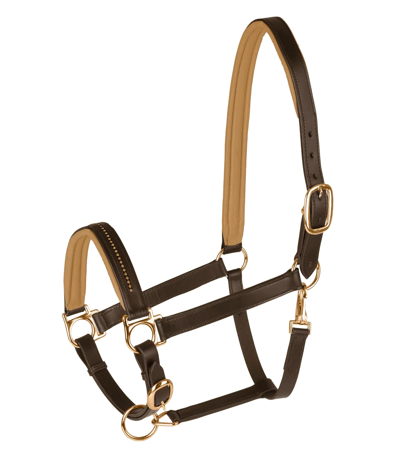 STAR Lederhalfter Diamond, robust mit farbigem Nasenriemen, braun/gold, Pony