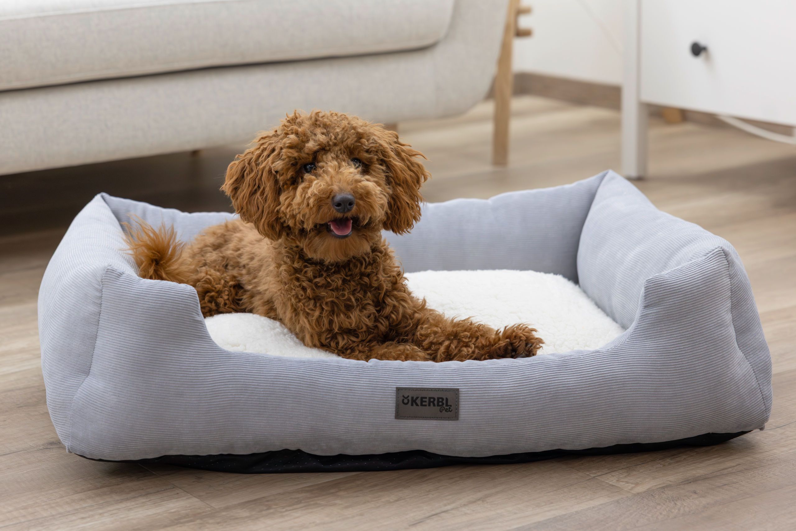 Kerbl Kuschelbett Zoe, Hundebett mit Rand, waschbar, grau-weiß, im Einsatz, im Wohnraum