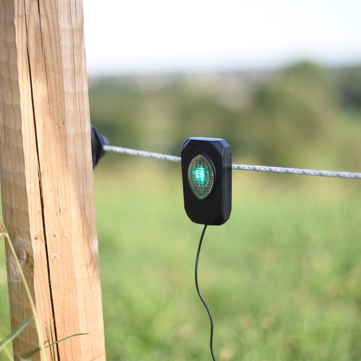 AKO Pulse Flash, tester per recinto elettrico, controllo visivo, in uso, al pascolo