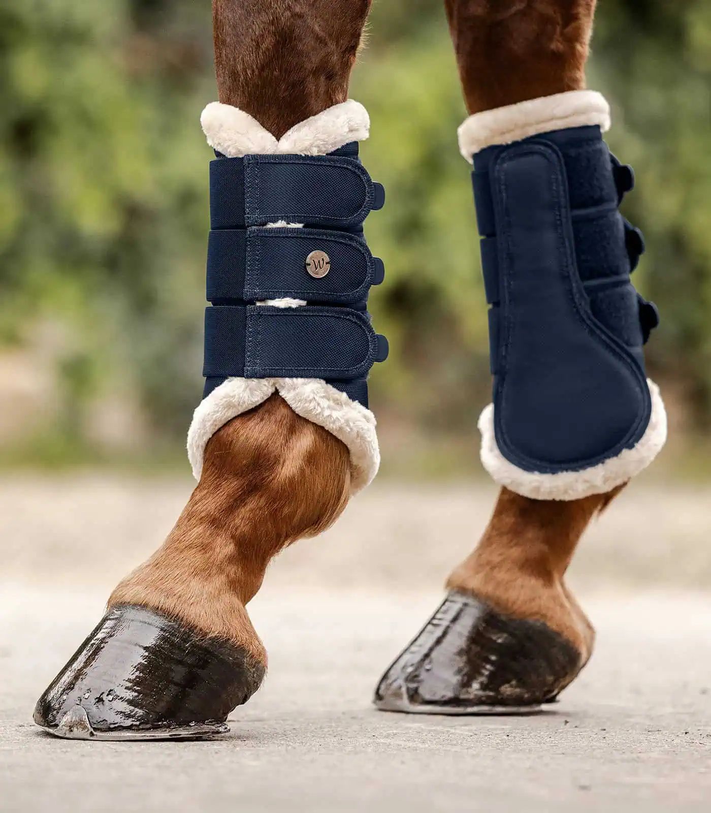 Guêtres de Dressage Waldhausen Comfort Light, Protection Antichocs, bleu nuit/beige L
