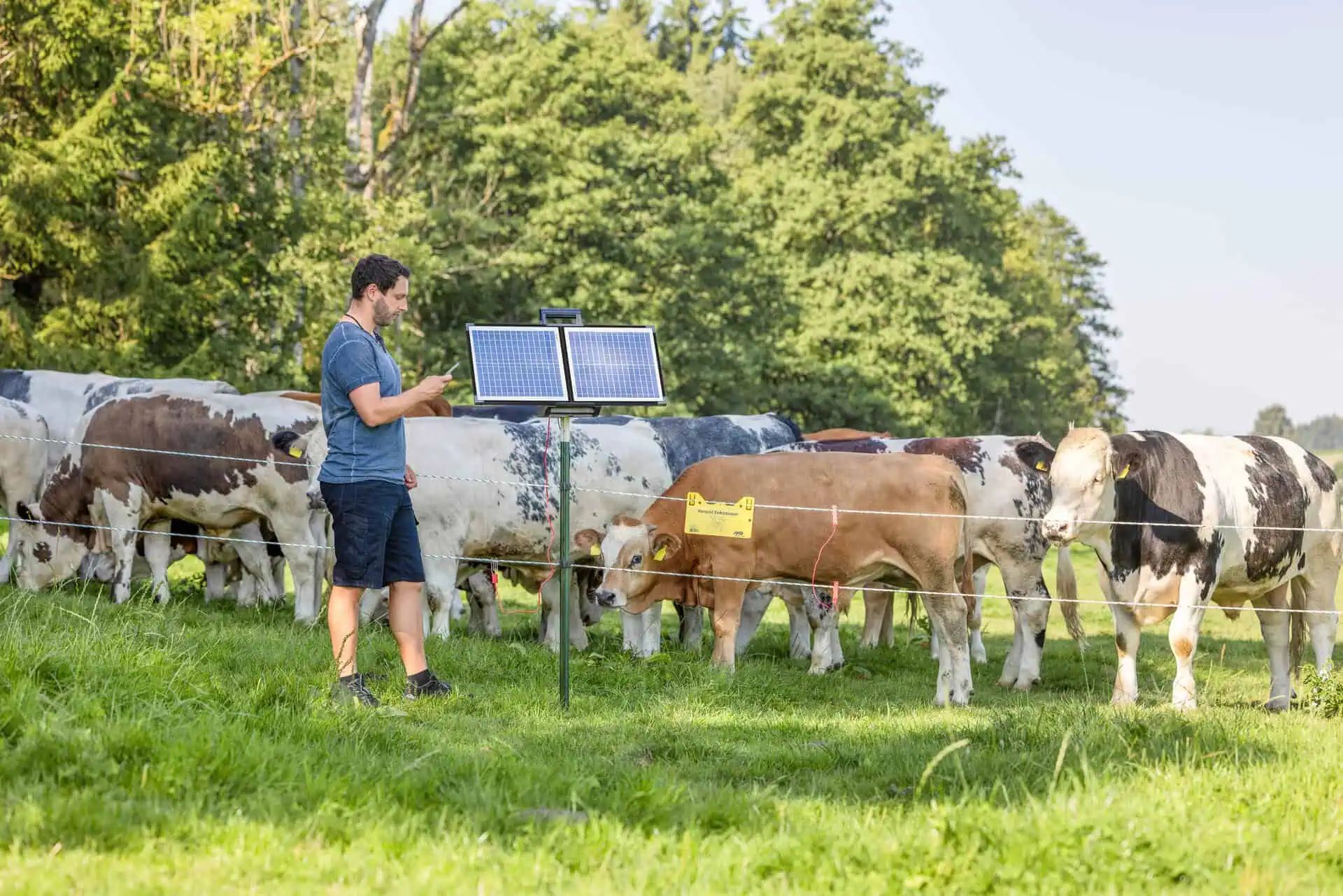 AKO Sun Power S 4000 Smart Weidezaungerät mit Solar & App-Steuerung, im Einsatz, auf der Weide