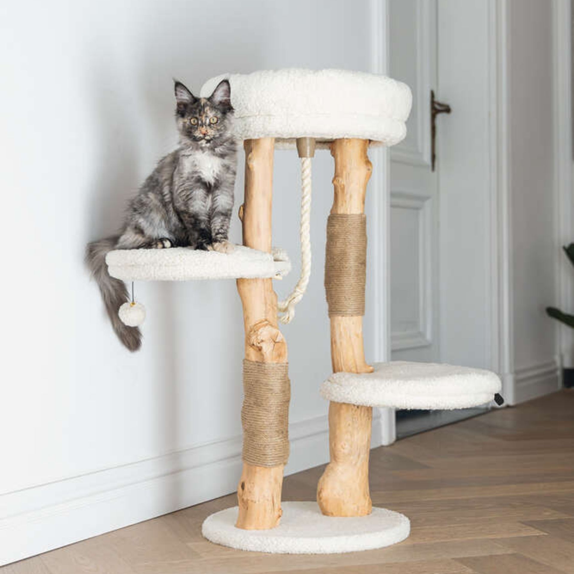 Arbre à chat en bois, Designed by Lotte Vanja 40x40x87,5 cm, vue de côté