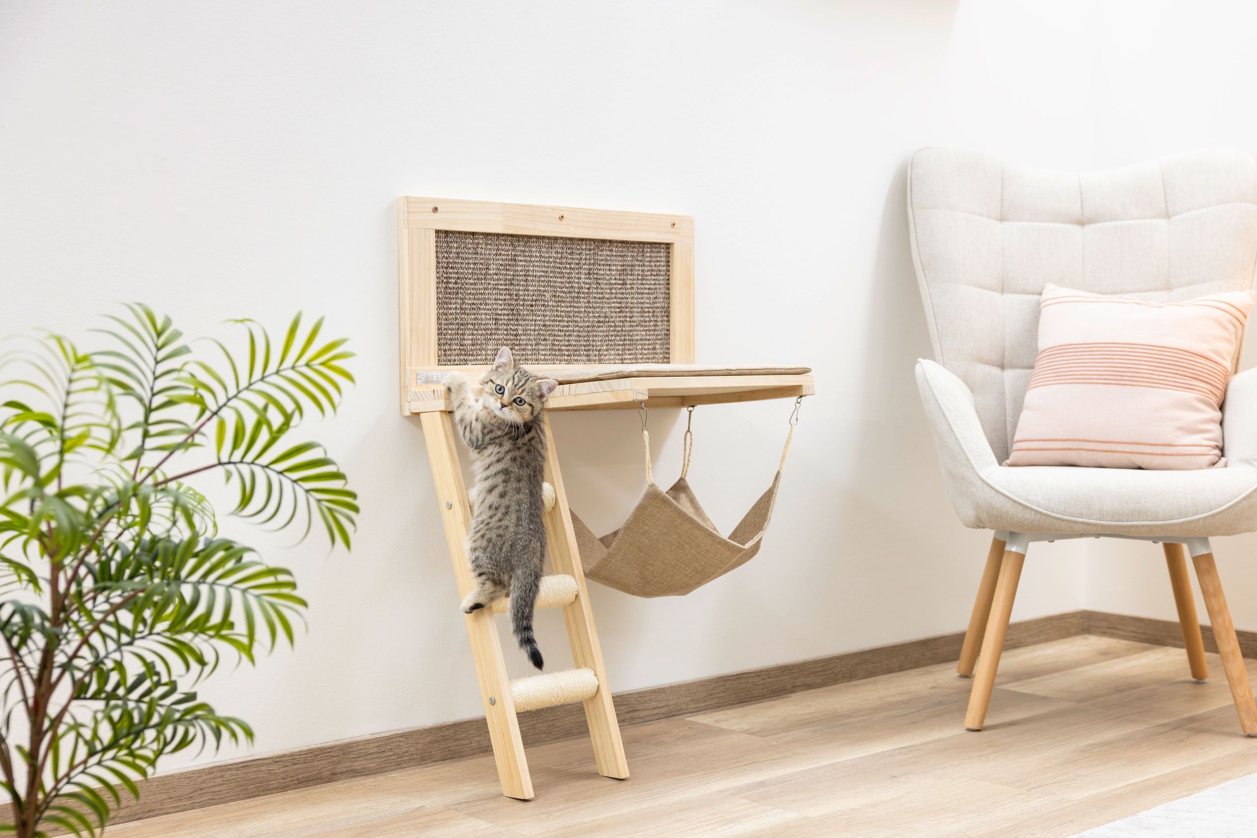 katze, katzenkratzbaum, kratzbaum, hängematte, kratzmatte