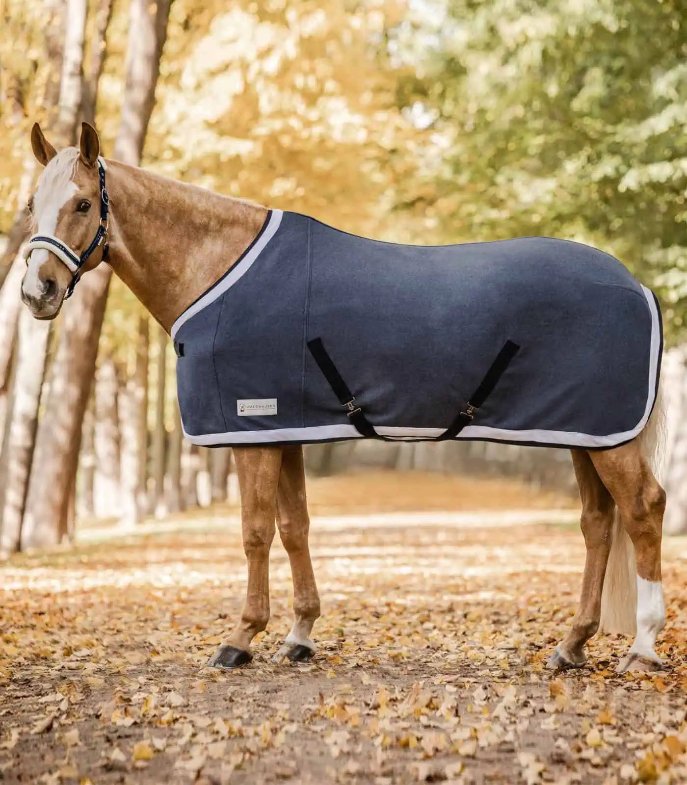 Waldhausen COMFORT Couverture Polaire Esperia Two, Séchante, bleu foncé/crème 135 cm