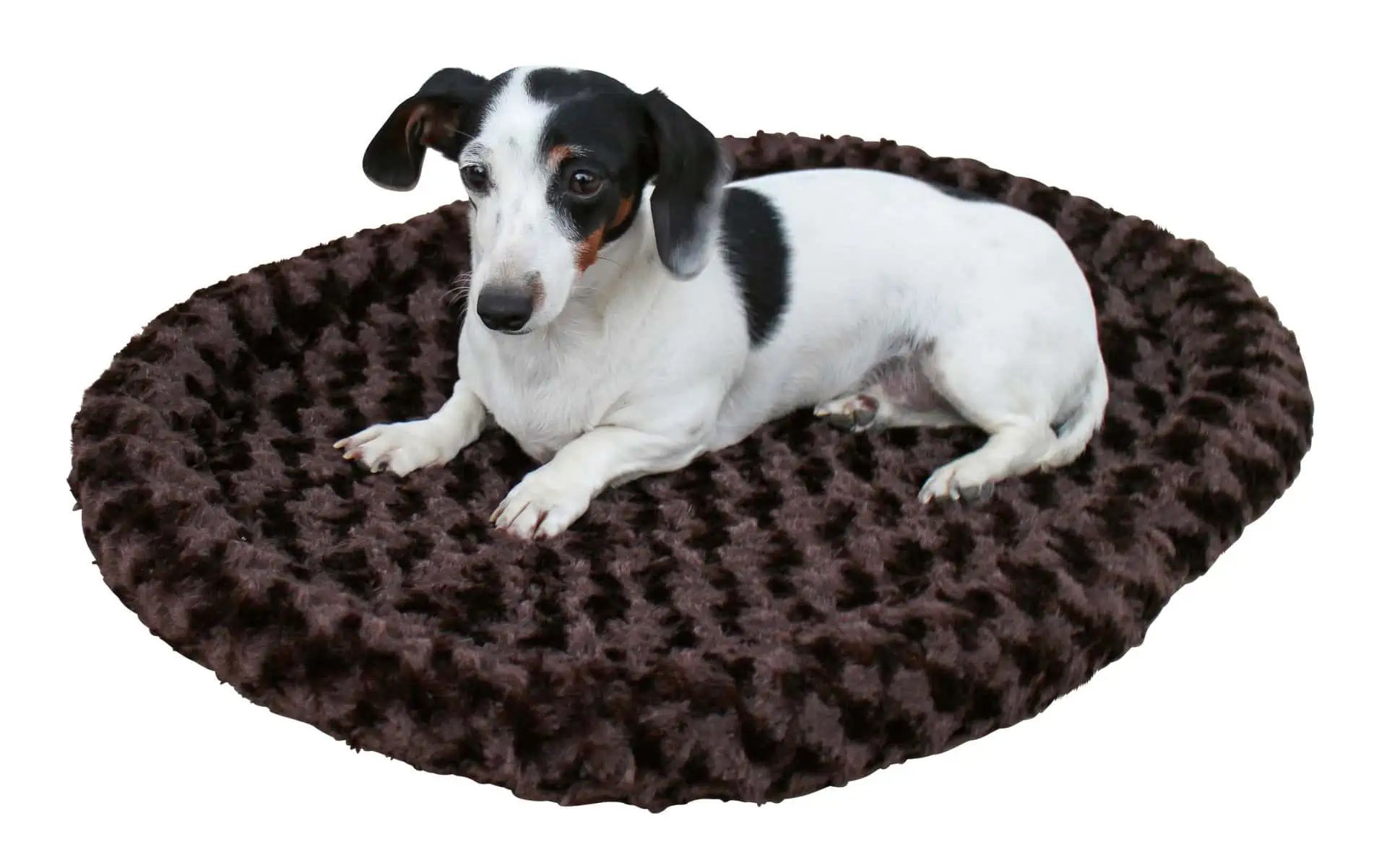 Coussin douillet Kerbl pour chiens et chats, réversible, 54x45 cm, marron