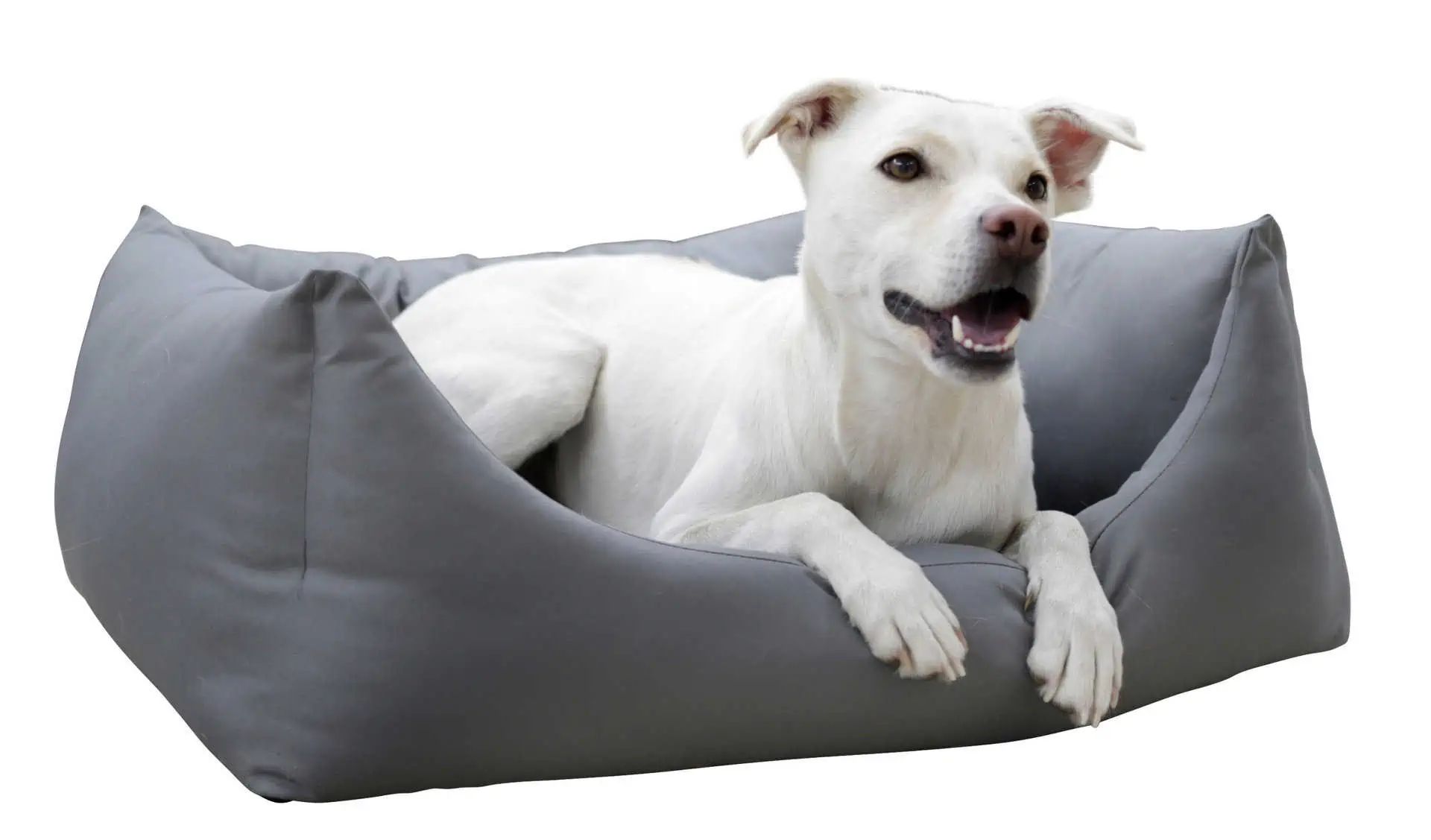 Kerbl Panier pour chien Oxford Place, résistant à l'eau, antidérapant, en utilisation