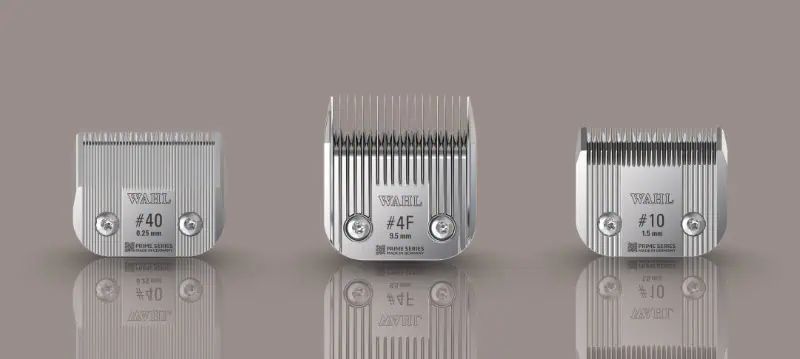 Jeu de lames de tondeuse pour chien