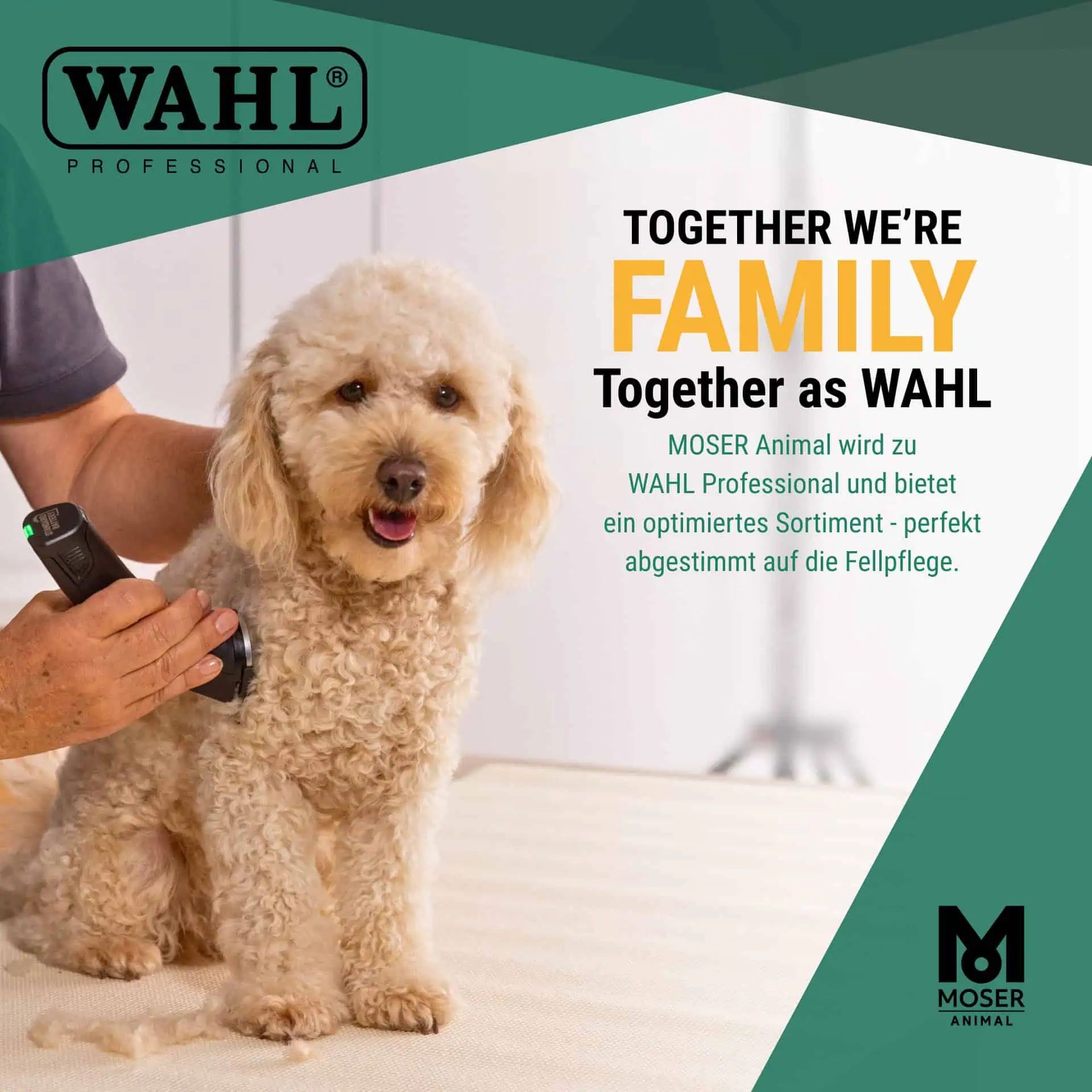 Werbebild mit Hund beim Fellschneiden und Markenlogo WAHL Professional
