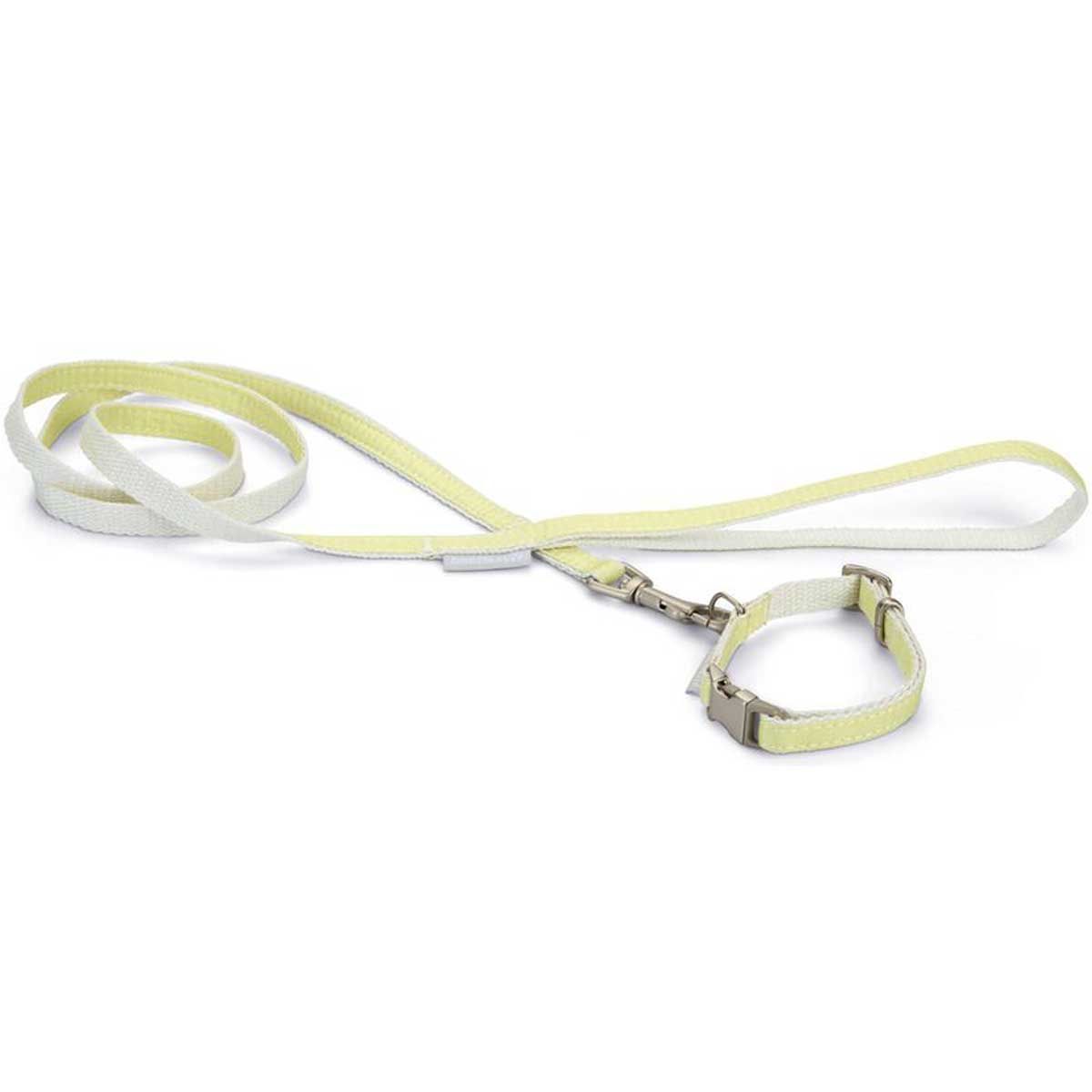 Beeztees Puppy Collar & Leash Set for Dogs, Adjustable with Quick Buckle