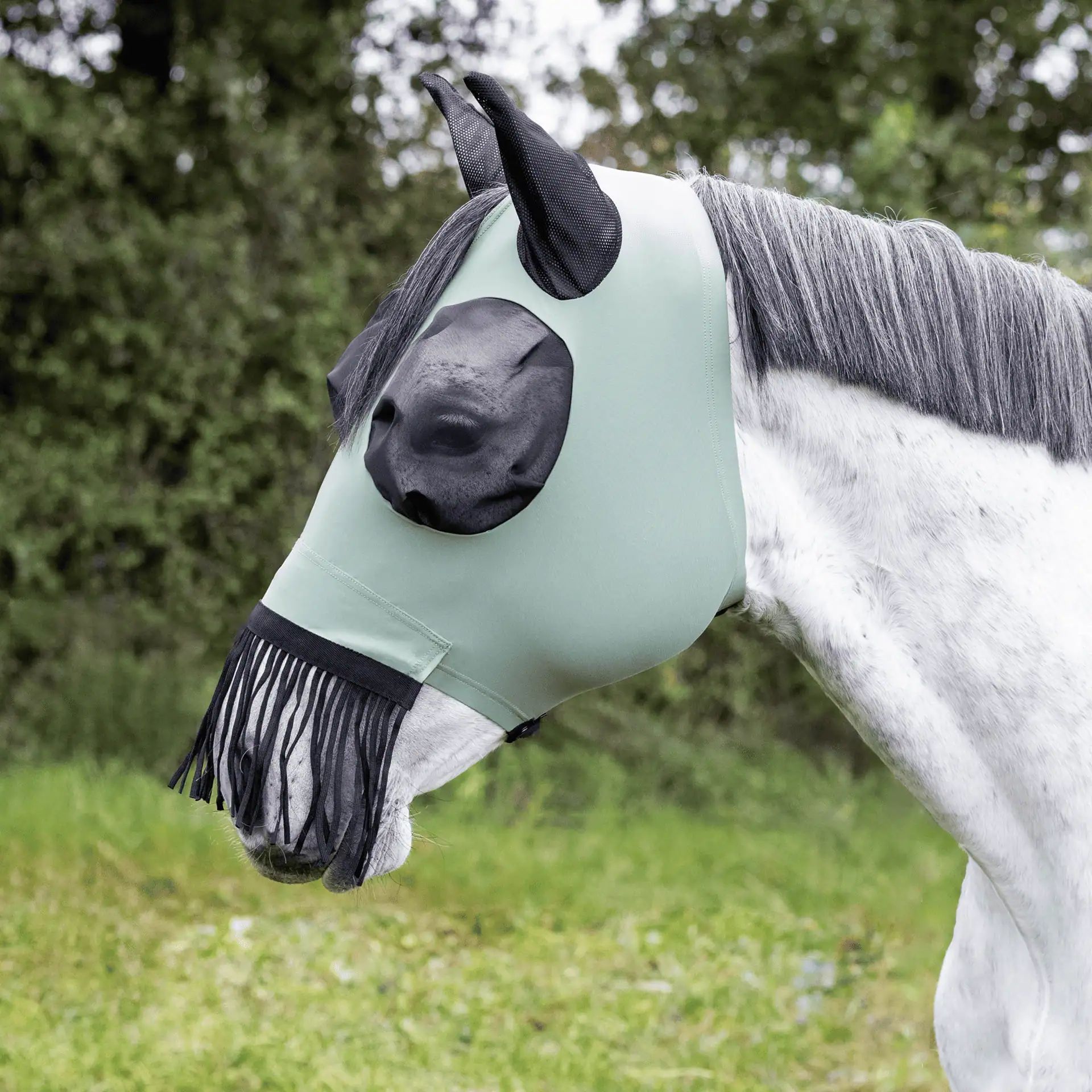Masque anti-mouches BUSSE TWIN FIT FLEXI FRANSEN avec franges nasales, en utilisation