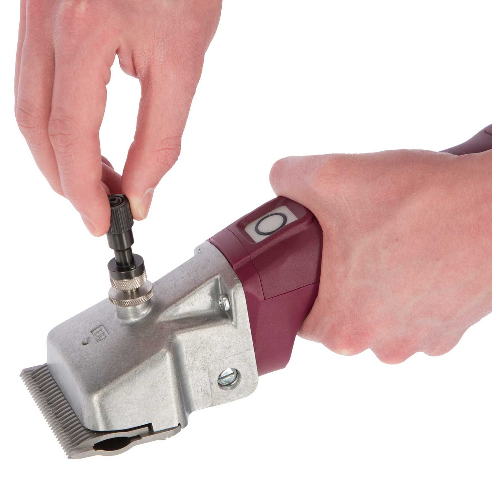 Aesculap Torqui GT146 Precision Adjusting Tool for Cattle/Horse Clippers, in use