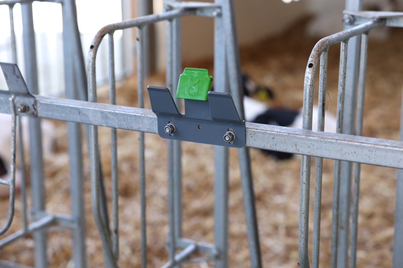  Stallzaun, Viehstall, Metallrahmen, grünes Schildchen, Bolzenverschluss