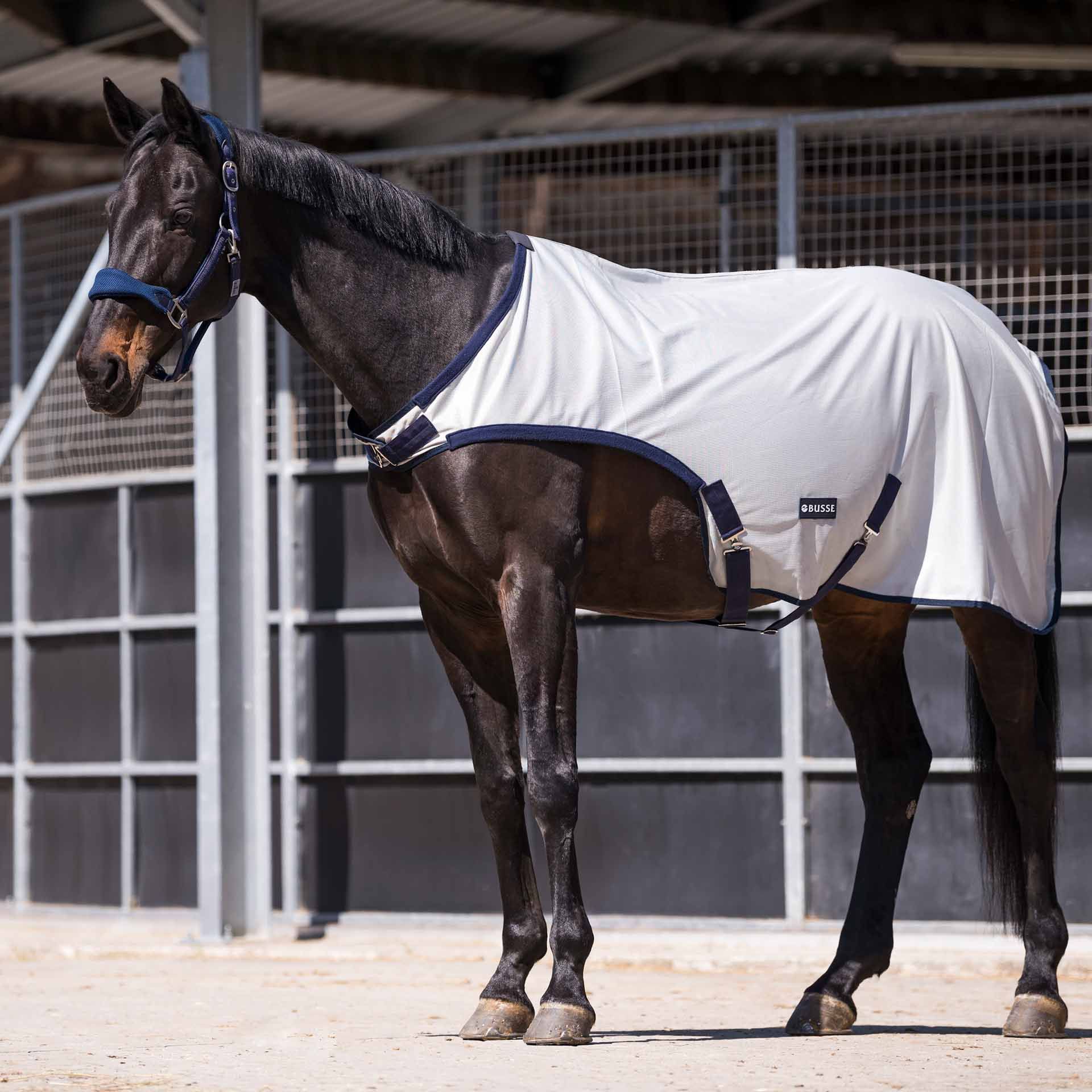 BUSSE Walker Rug FLY COMFORT, Fly Protection for Groundwork Training, in use