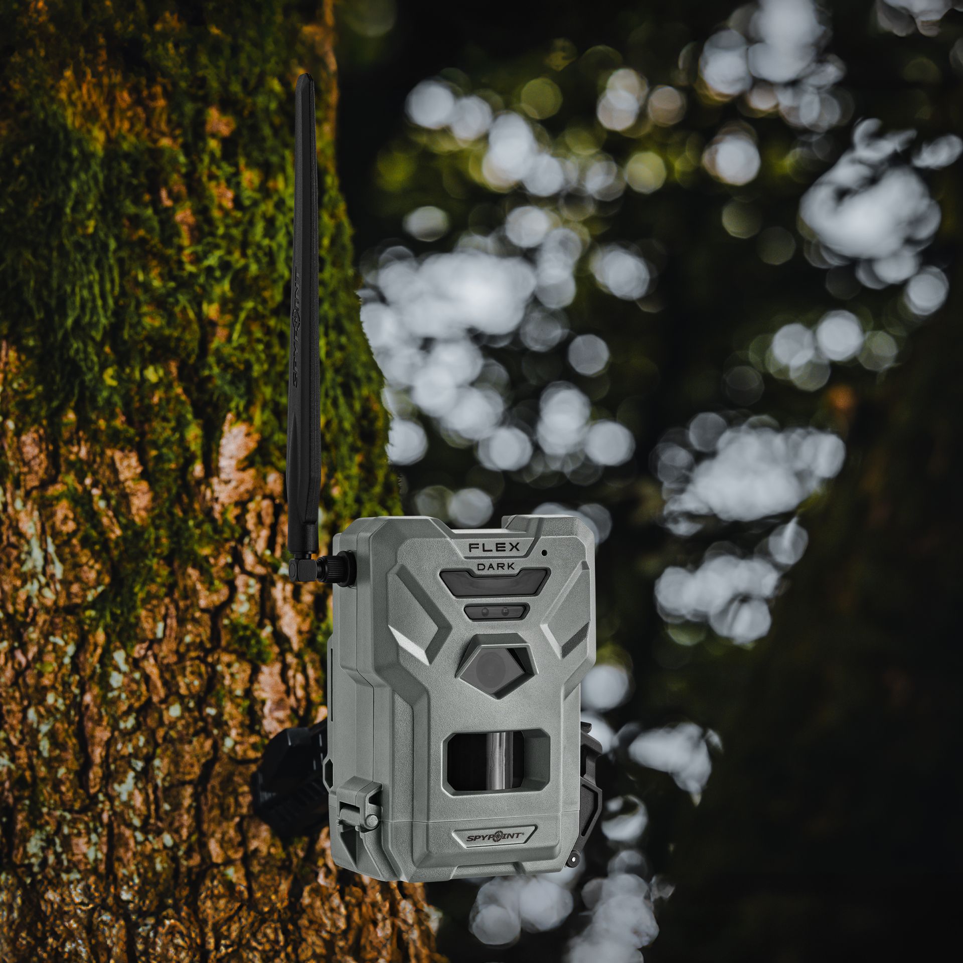 SPYPOINT Wildkamera FLEX-DARK Twin Pack, LTE Mobilfunk, im Einsatz