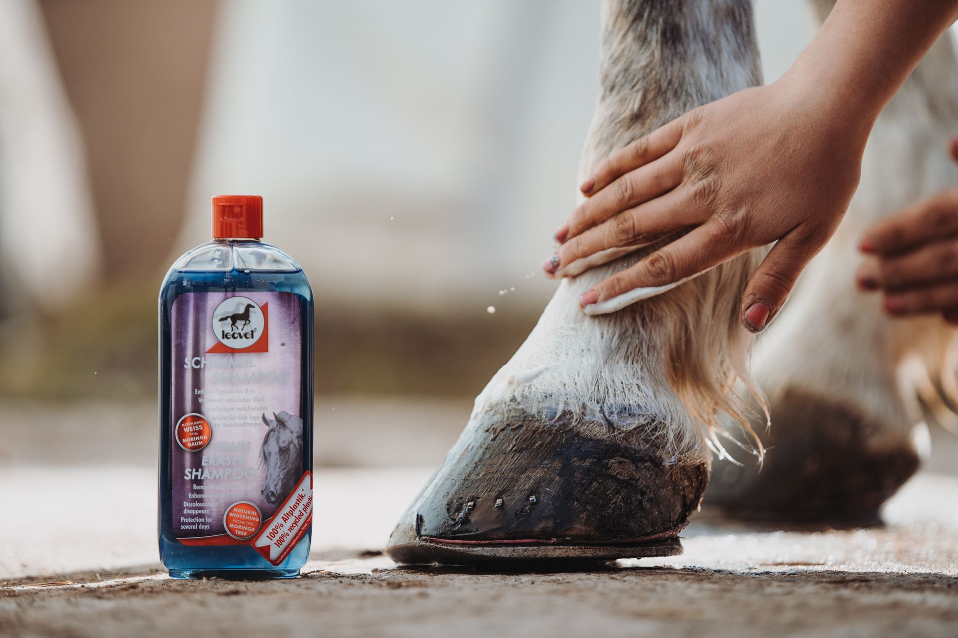 Leovet Schimmel Shampoo für Pferde, 500 ml Fellpflege für weißes Fell