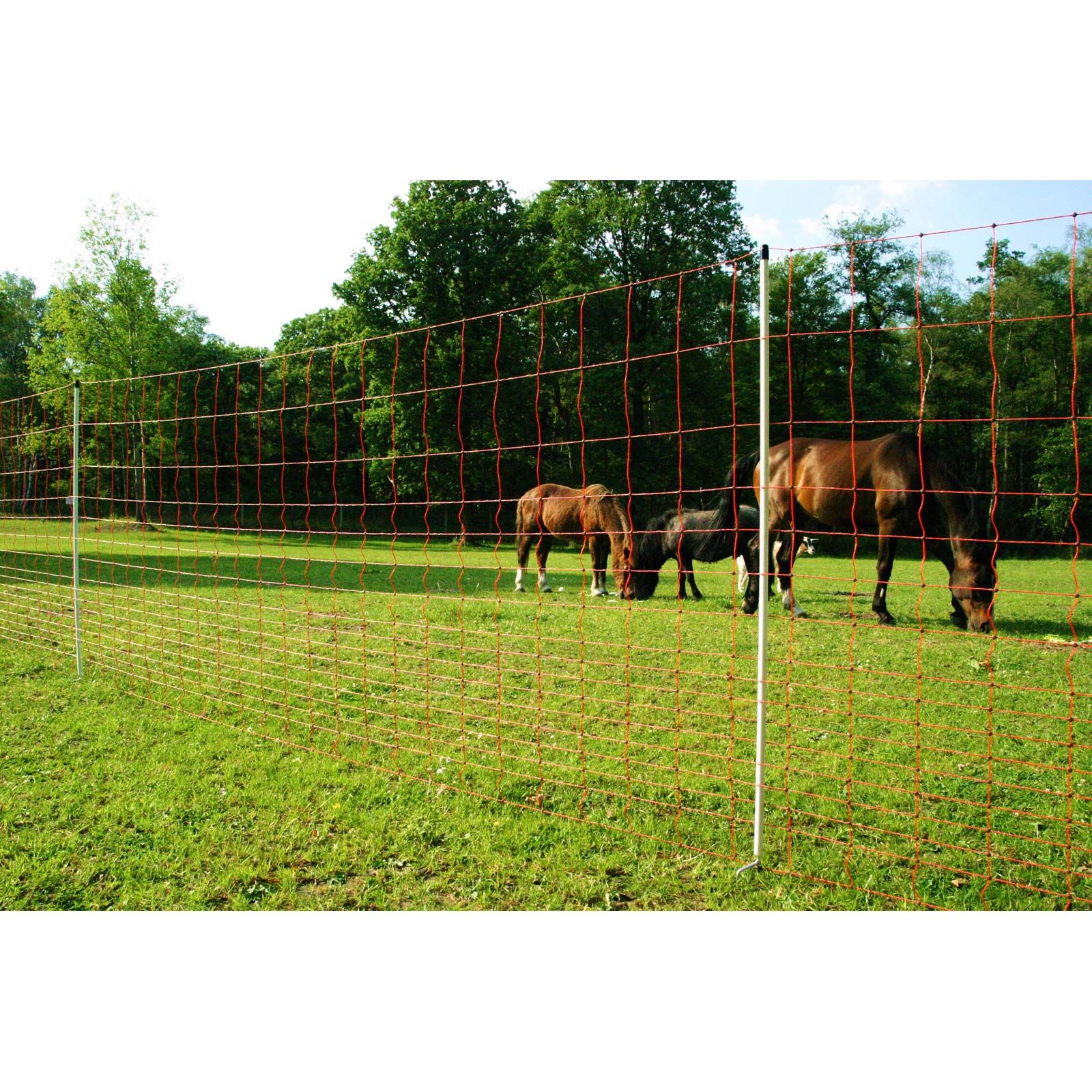 Euro mustang elstängselnät 145cm, pilnät 50m, i användning, på hagen