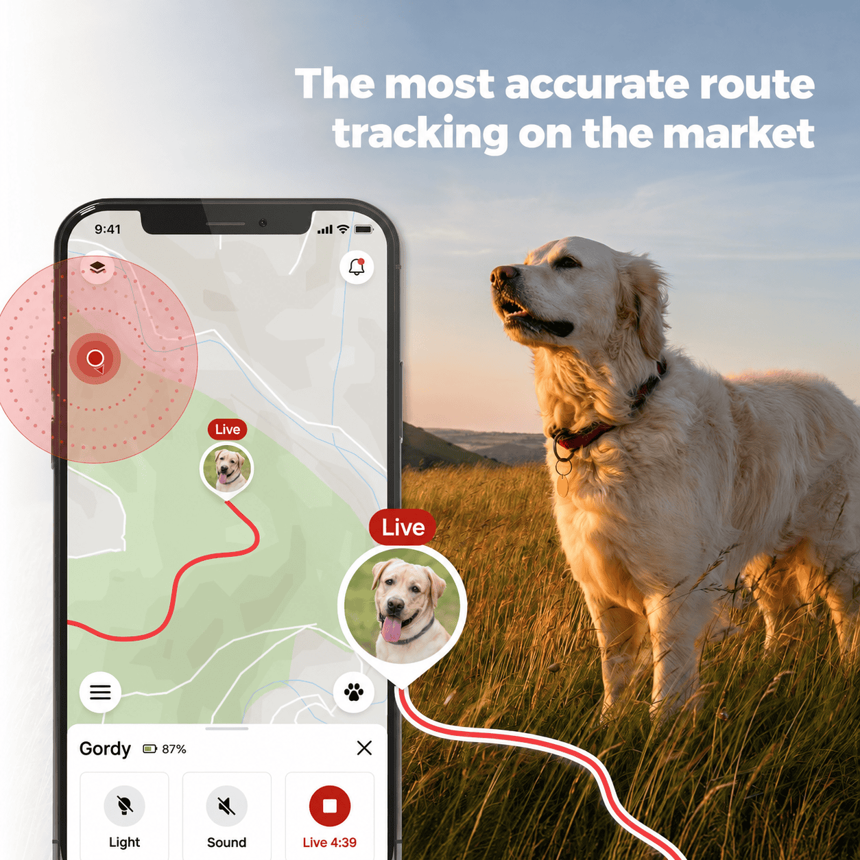  Hund, Golden Retriever, Hunde-GPS, Tracking-App, Live-Position, Hund, Hundehalsband, GPS-Tracker, Smartphone-App, Live-Tracking