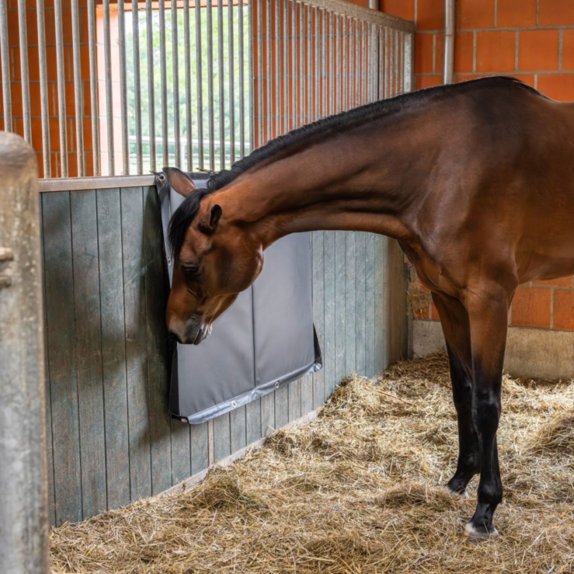 Covalliero Kickpad, black, shock-absorbing, 120 x 100 x 4 cm, in use, in the stable