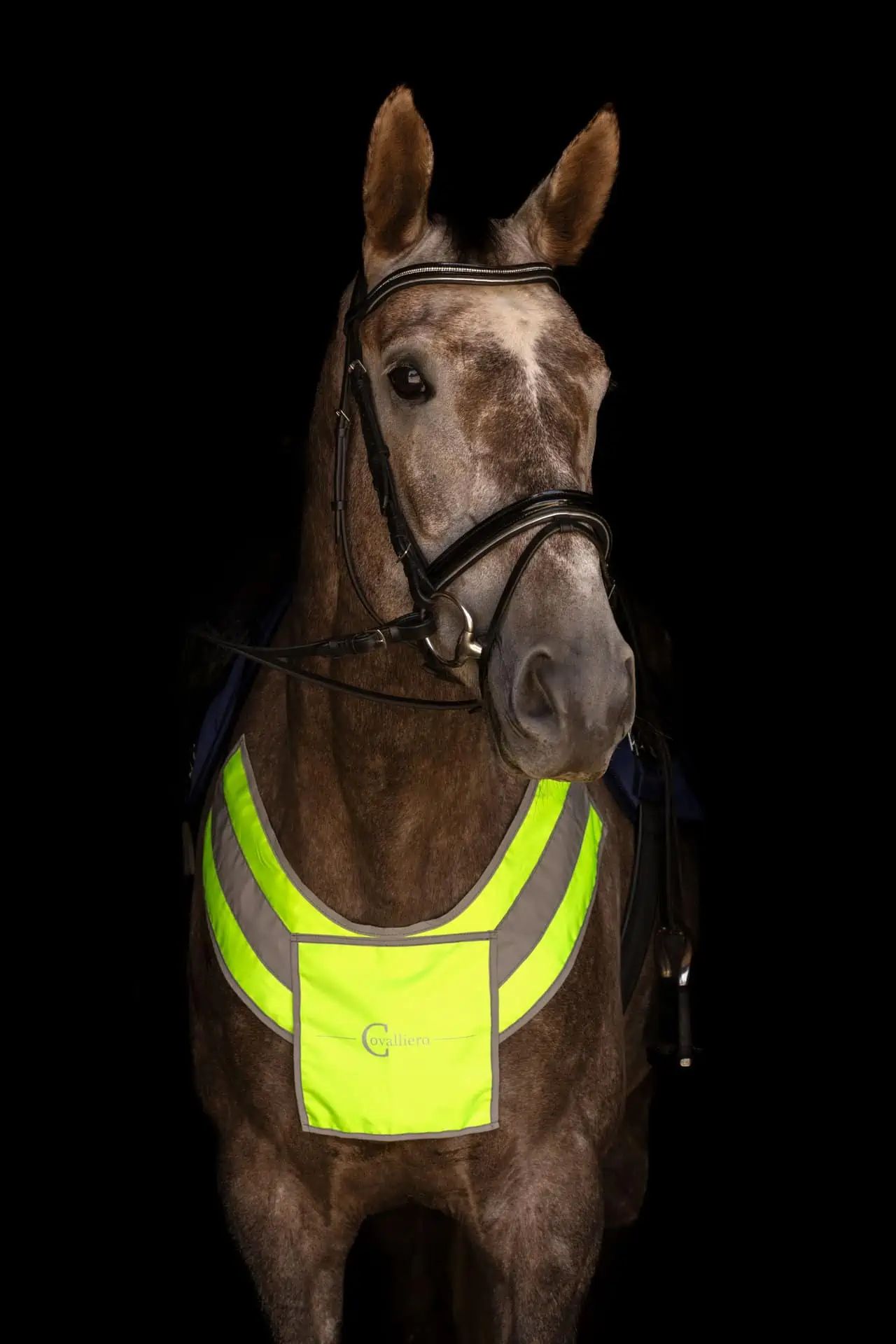 Covalliero Reflex Breastplate for Horses, Pony to Warmblood, in use