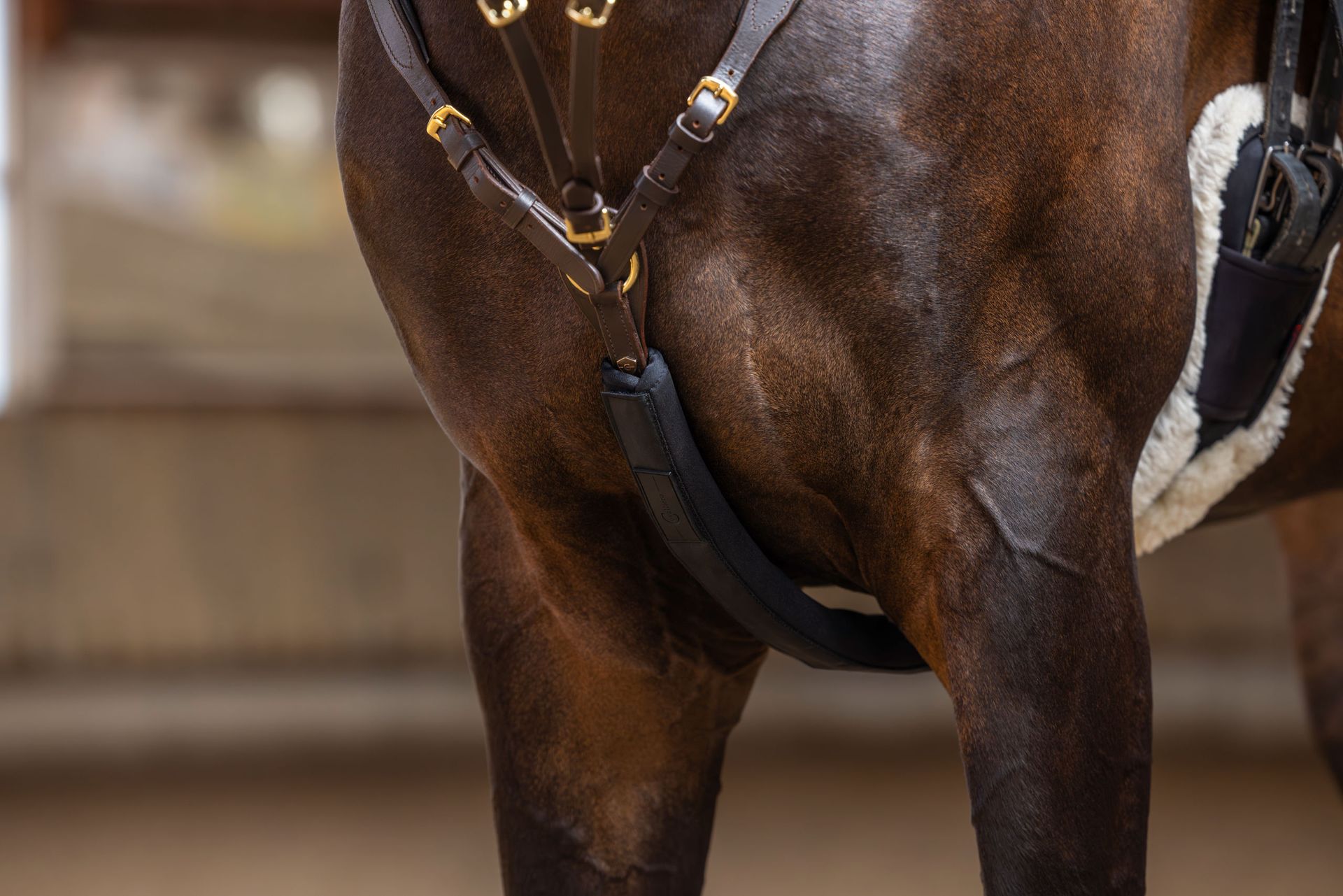 Protège-martingale Covalliero en néoprène souple, noir, 45 cm, en utilisation