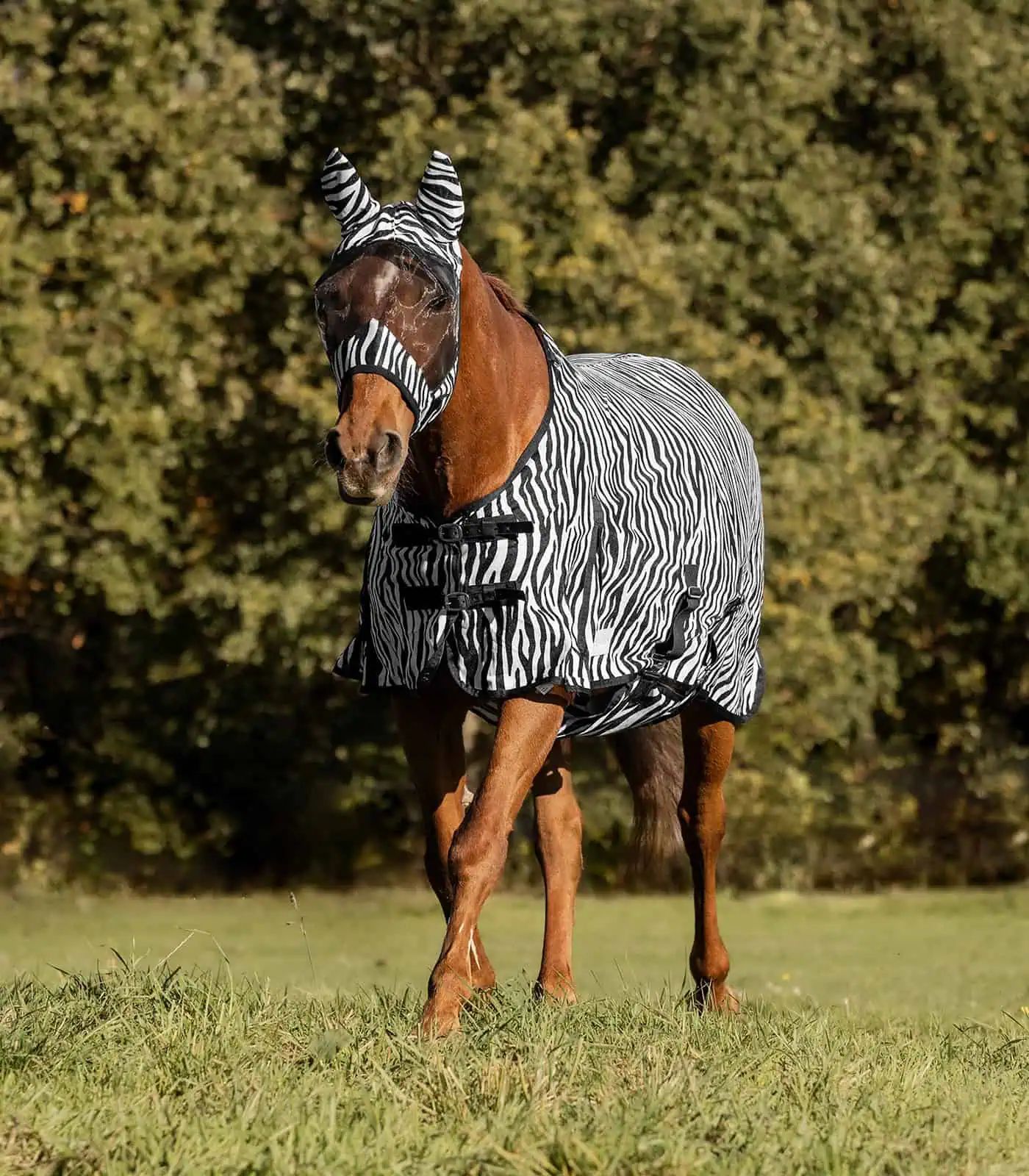 Chemise anti-mouches Zebra Waldhausen, maille fine avec rabats, 125 cm