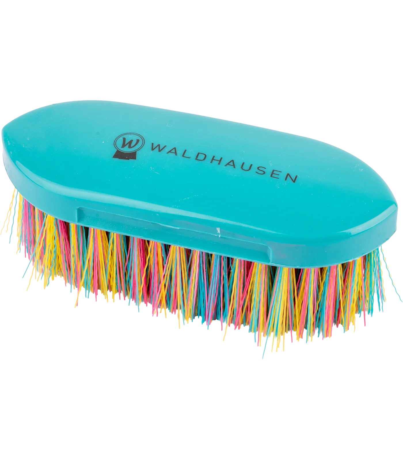 Bürste, Schrubbbürste, Badbürste, Kopfhautbürste, bunte Borsten