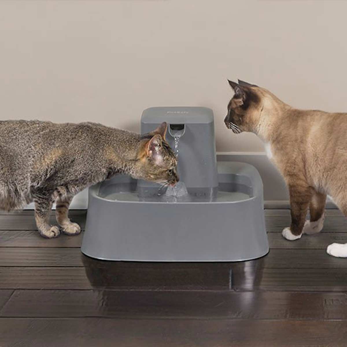 PetSafe Drinkwell Trinkbrunnen für Katzen & Hunde, 7,5 Liter, im Einsatz