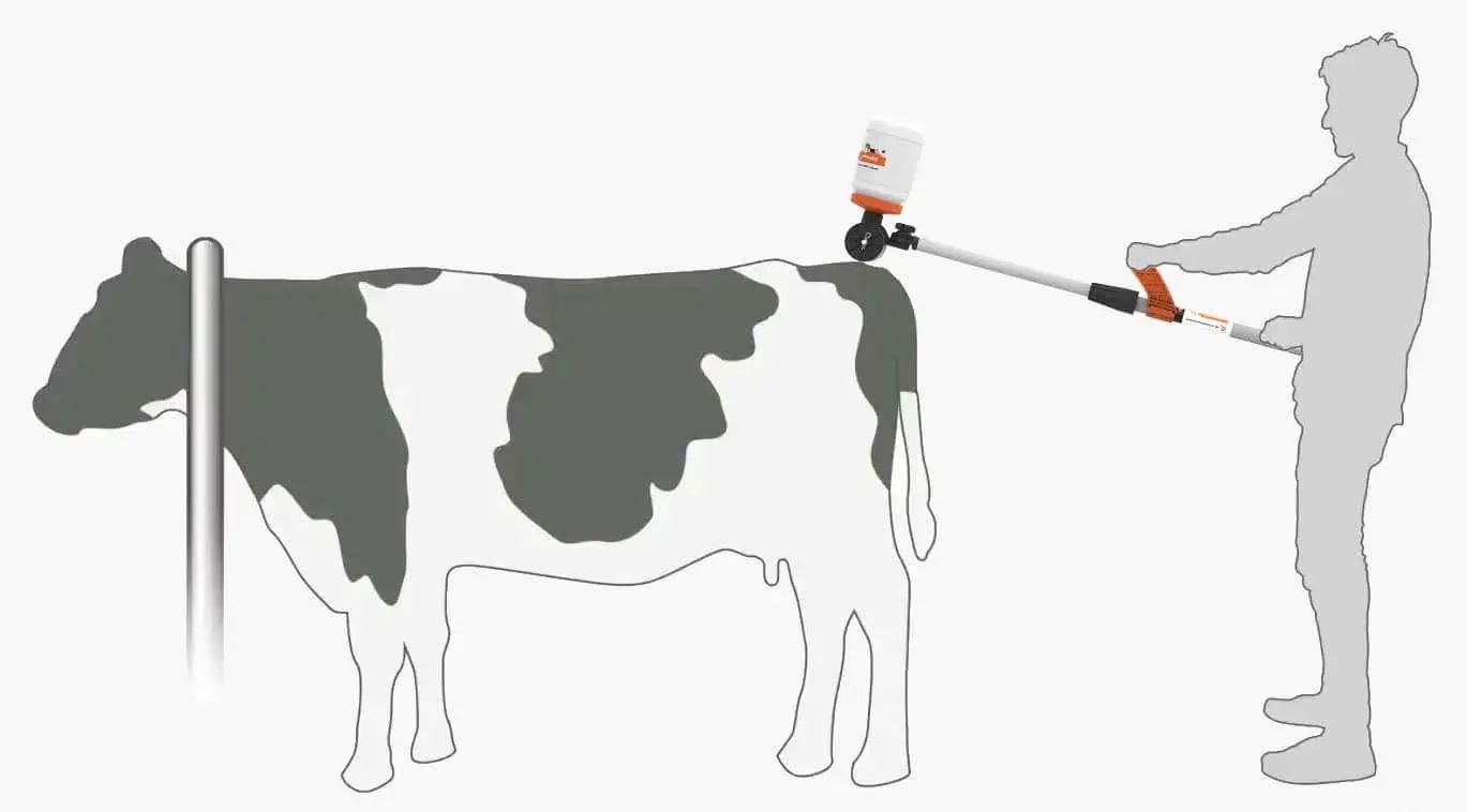 Applicateur Kerbl Tailpainter pour peinture de détection des chaleurs, infographie