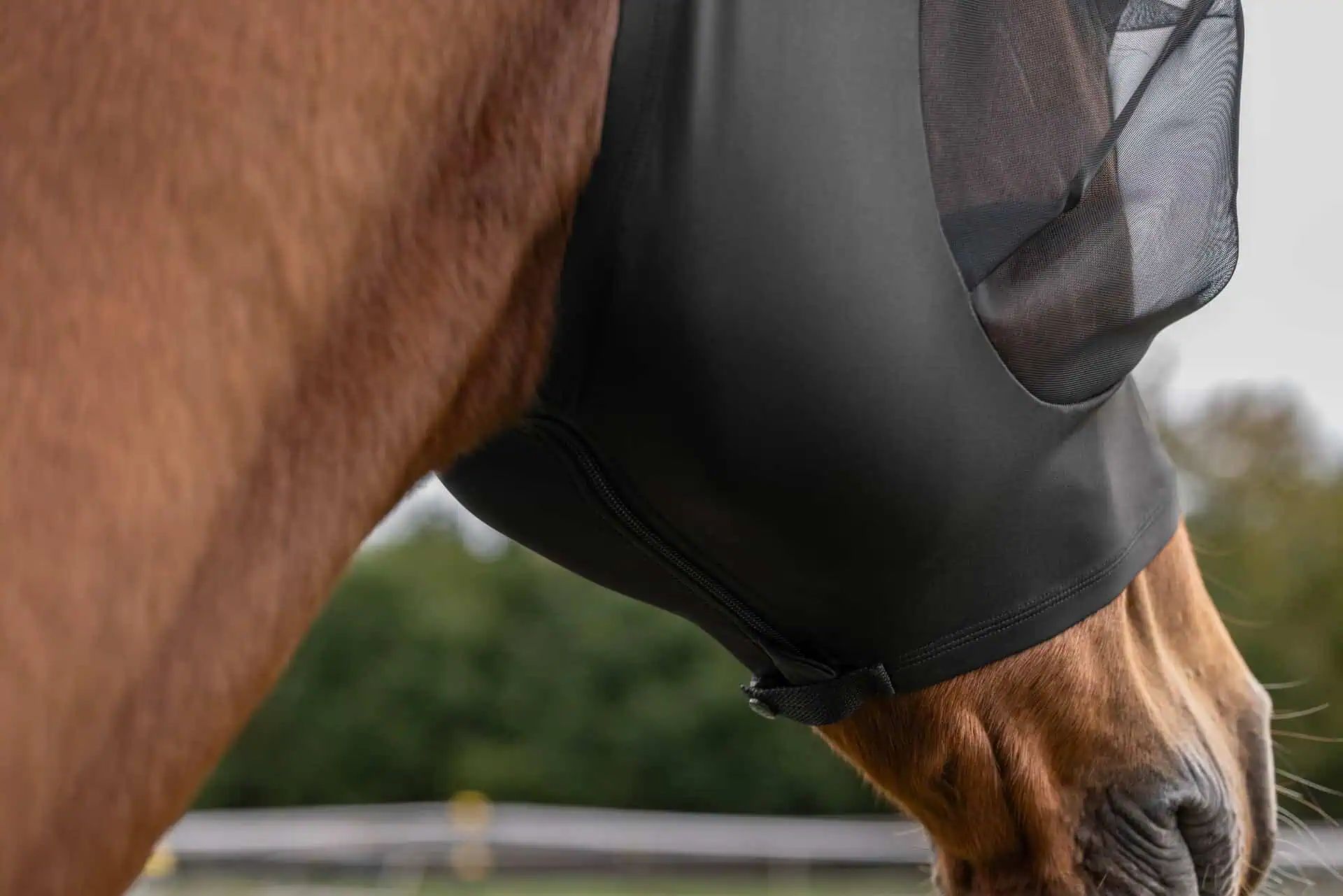 Covalliero FinoStretch Zipper Légyálarc, fekete, Pony
