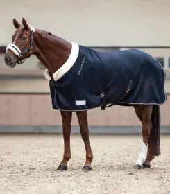 Braunes Pferd mit dunkelblauer Fleecedecke und Halfter in Reithalle