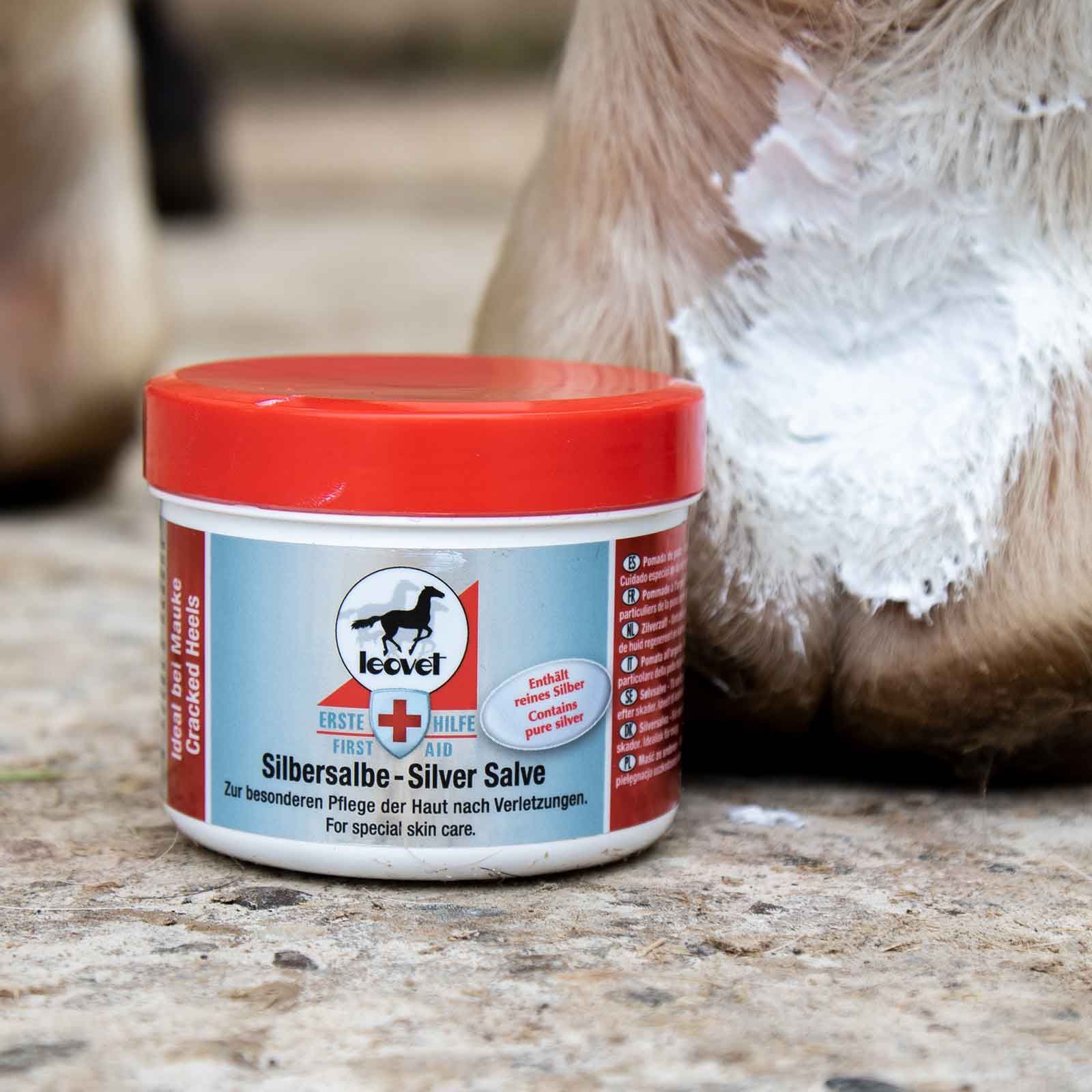 Leovet Pommade Argentée Premiers Secours Cheval, 150 ml, en utilisation