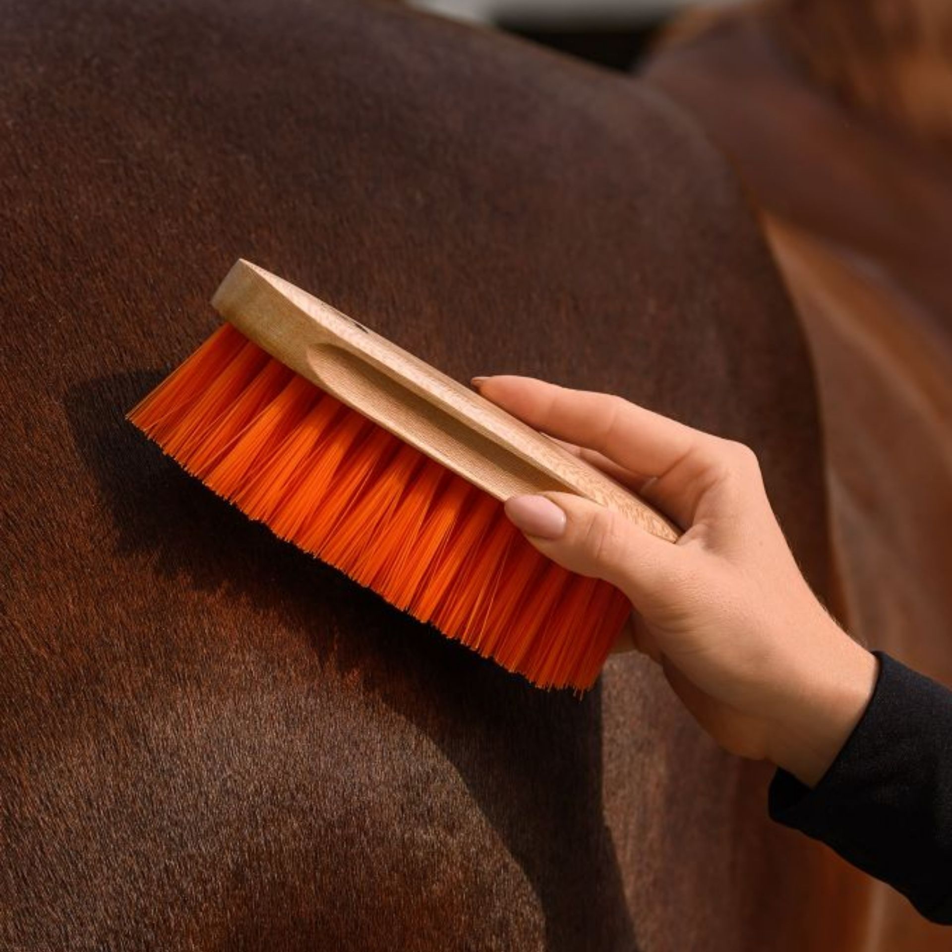 Waldhausen Mähnenbürste Colorcare, orange, Mähne & Schweif Pferd, im Einsatz, in der Hand