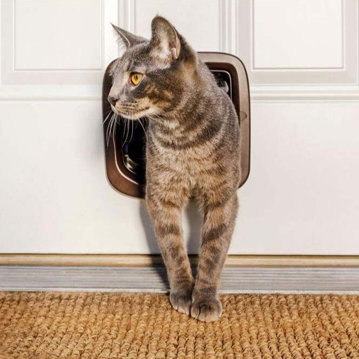 PetSafe Katzenklappe braun, manuelle 4-Wege-Verriegelung, im Einsatz