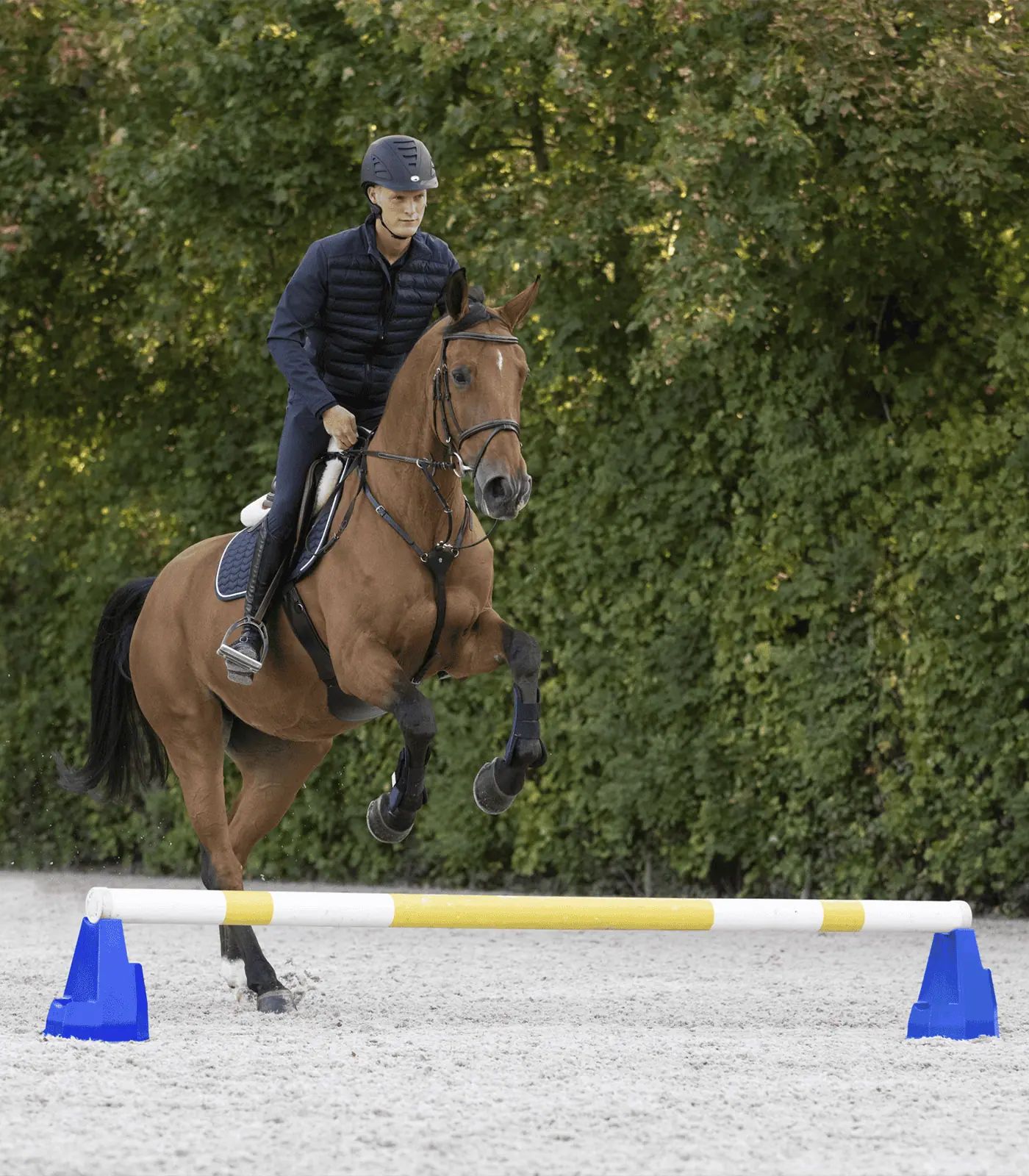 Waldhausen Cavaletti-Block – 3 Höhen, stapelbar, Kunststoff, blau