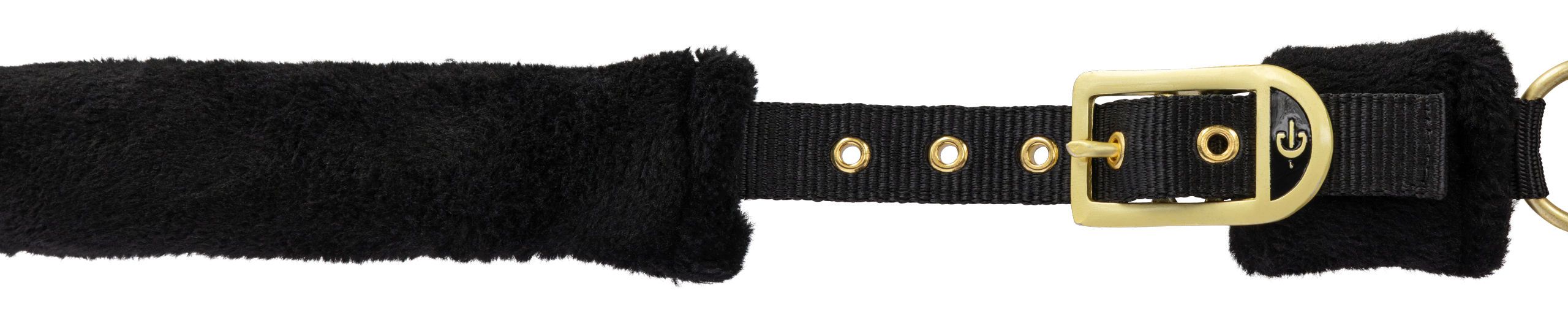 black, strap, collar, furry, gold buckle