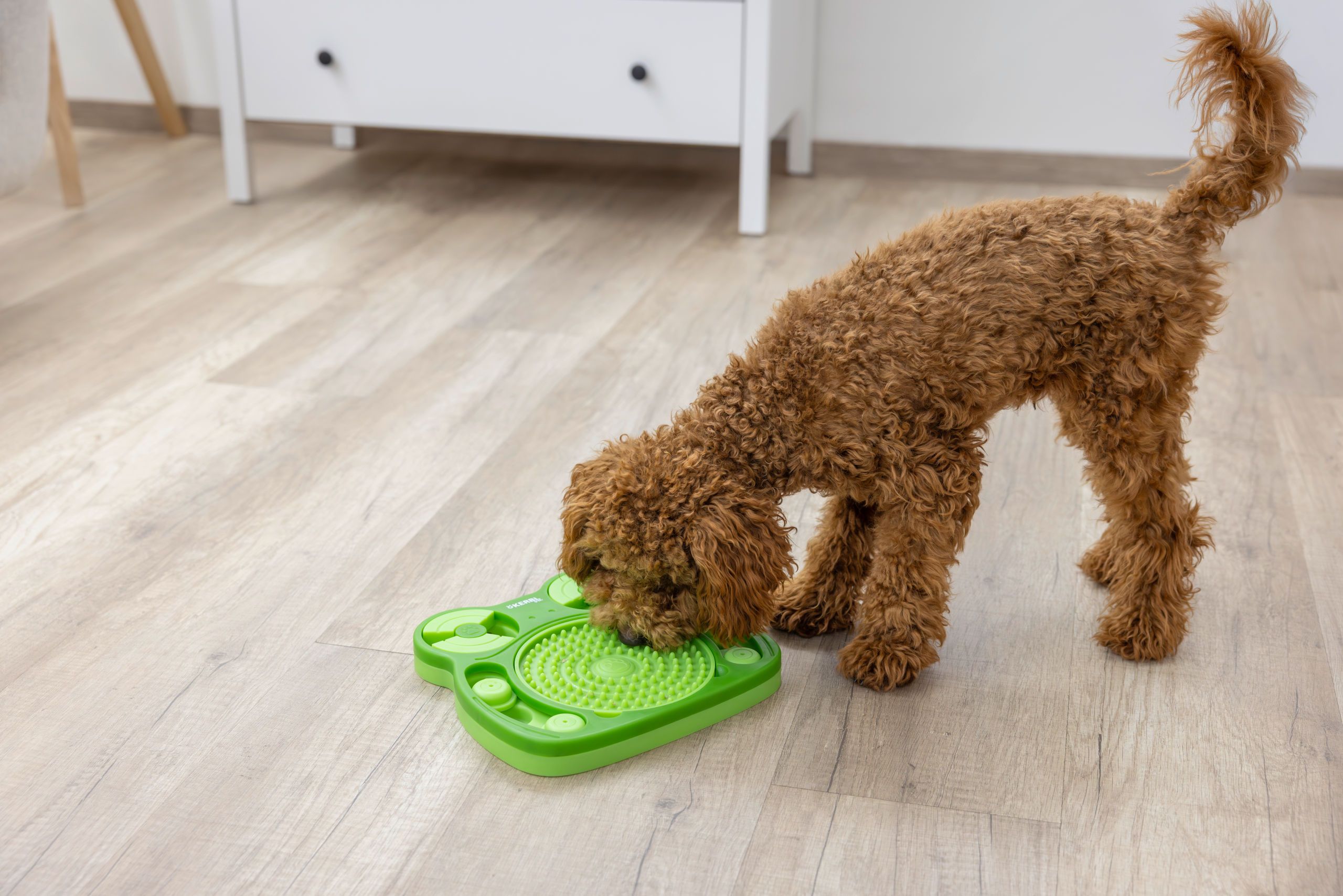 Kerbl Pet Intelligenzspielzeug Frosch mit Schleckteller, 24,5 cm