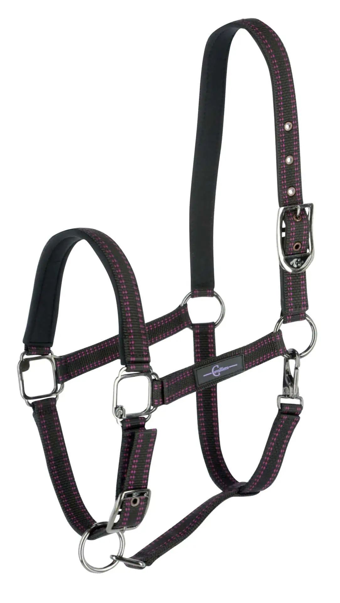 Licol pour chevaux Covalliero Royal noir/fuchsia