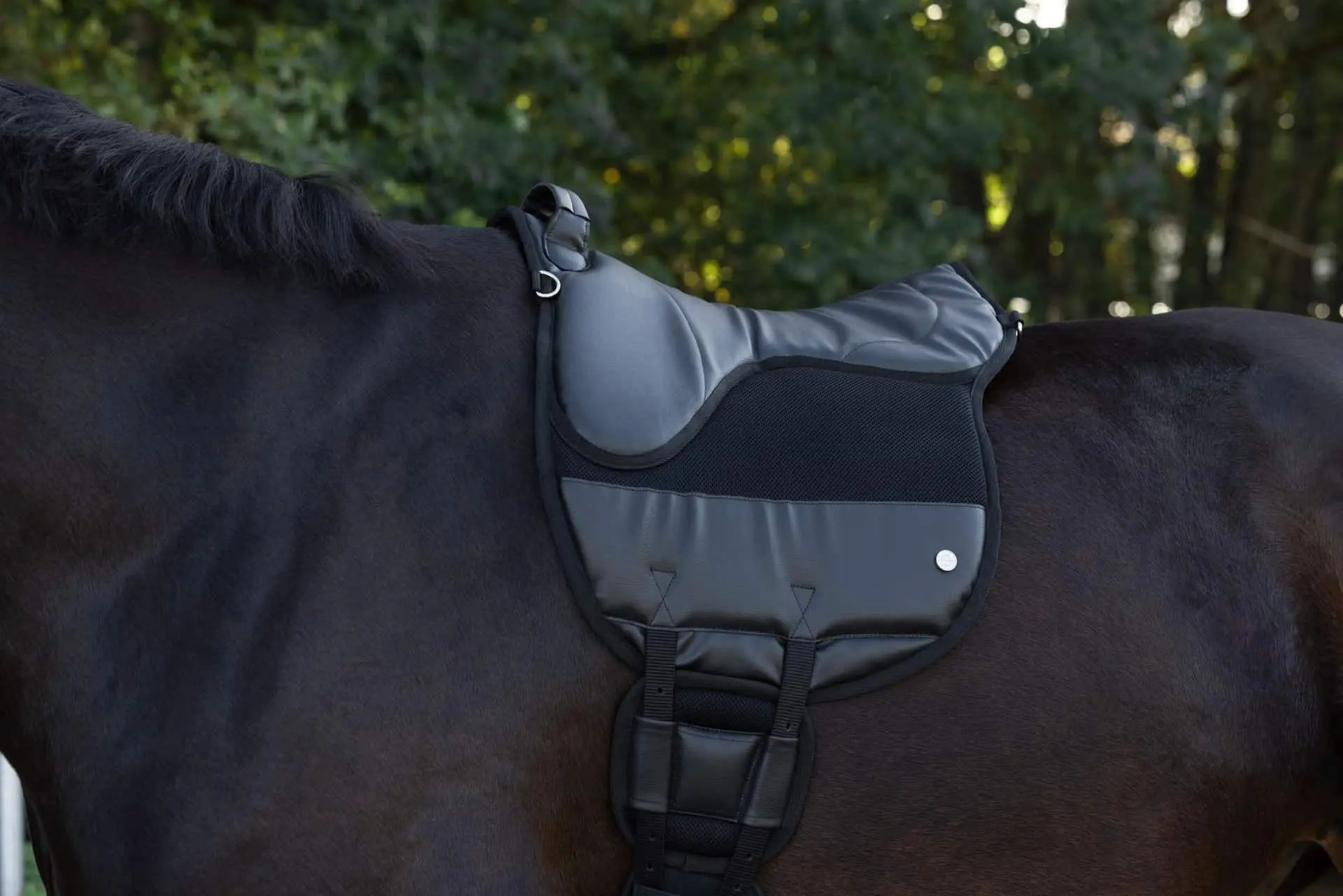 Pad da sella Covalliero AiRide, nero, 50 cm, imbottitura in schiuma, in uso