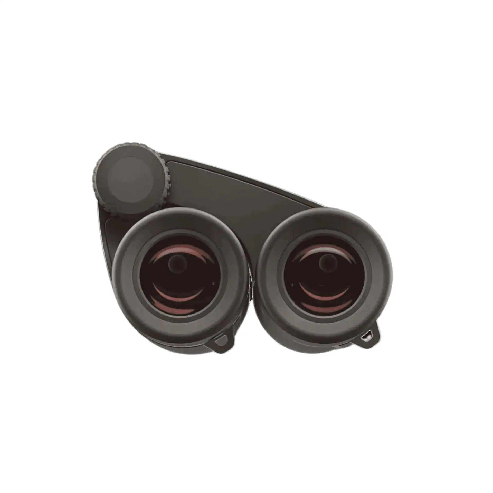 Jumelles ZEISS Victory Pocket, pliables, revêtement LotuTec, vue de dessus