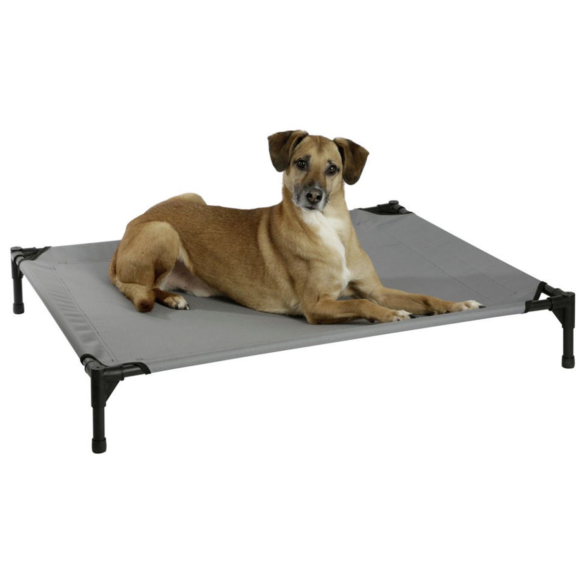 Kerbl Cuccia per Cani con Tettuccio Parasole VACATION TOP, in uso