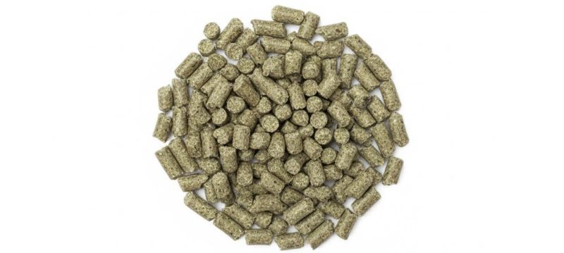 Biscotti per cavalli