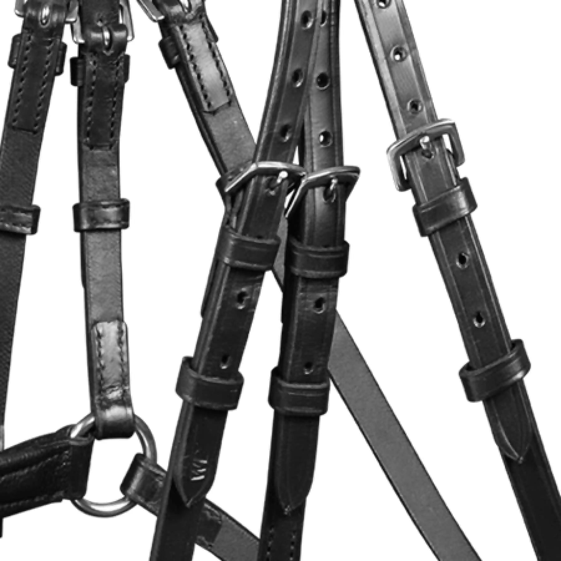 Waldhausen X-Line Bridon standard Cancún, muserolle mexicaine, détail, fermeture