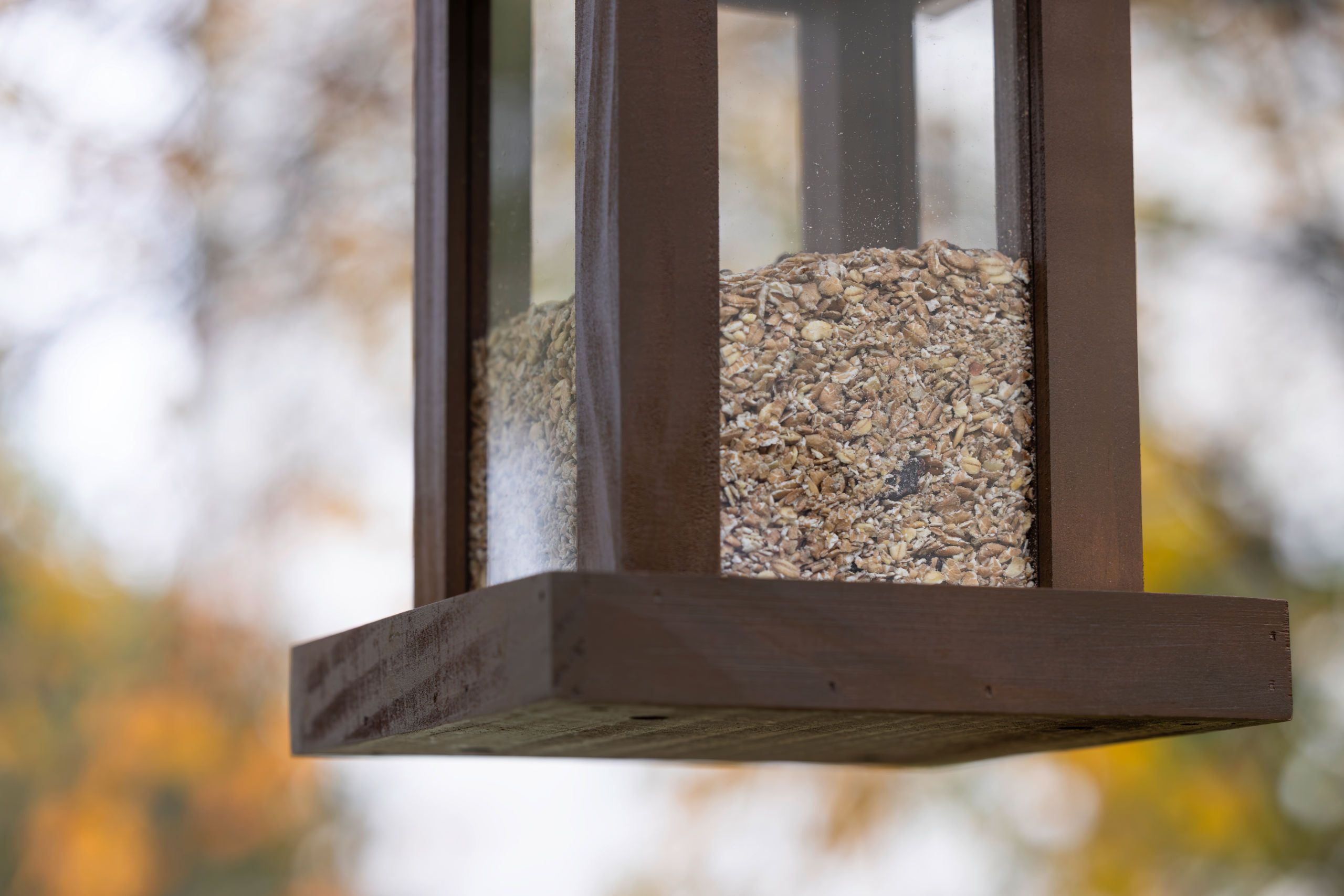 bird feeder, seed, sunflower seeds, wooden, outdoor