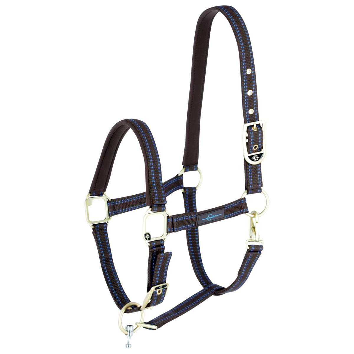 GoLeyGo 2.0 licou de cheval marron/bleu clair X-FULL