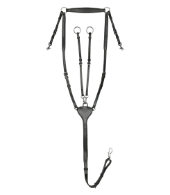 Schwarzes Vorderzeug für Pferde mit verstellbaren Riemen und Ringen aus Metall